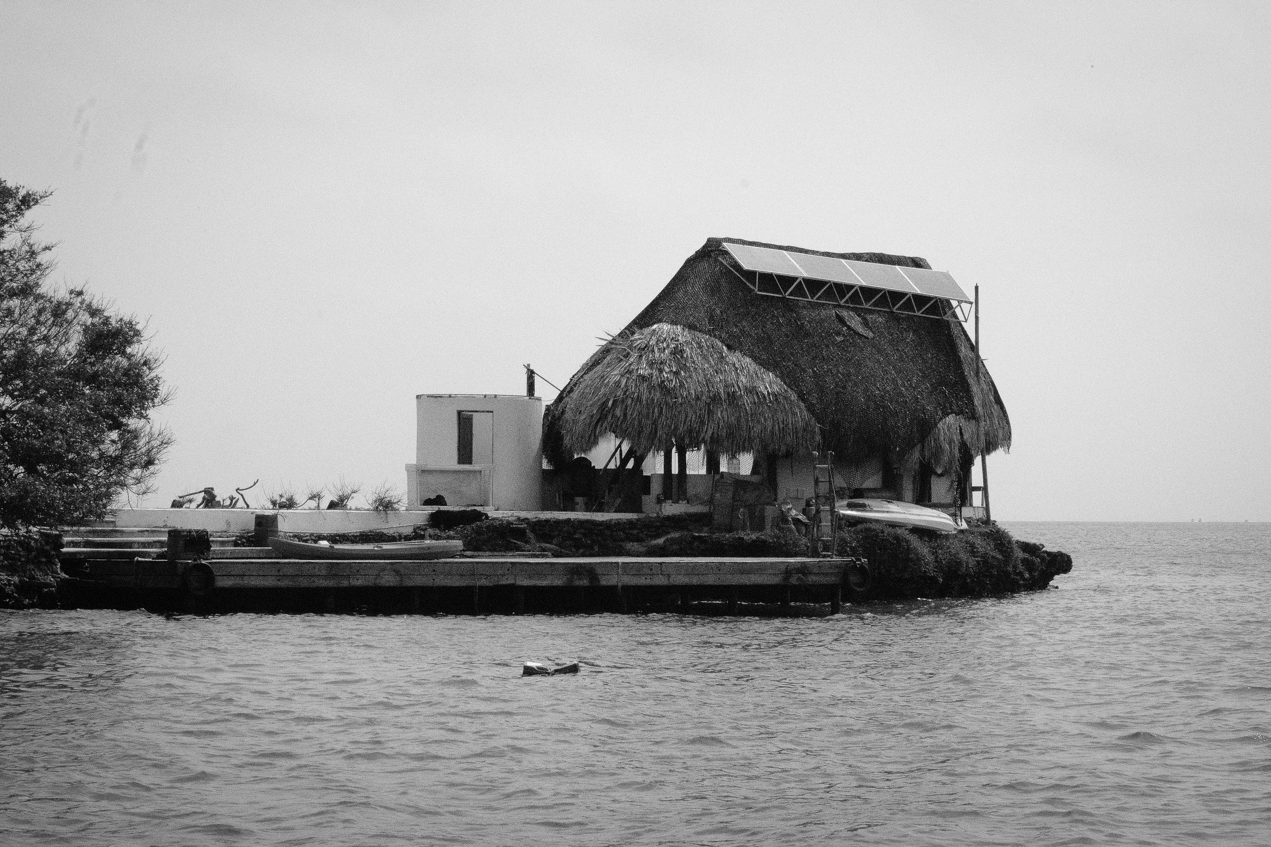 DSCF8146.jpg