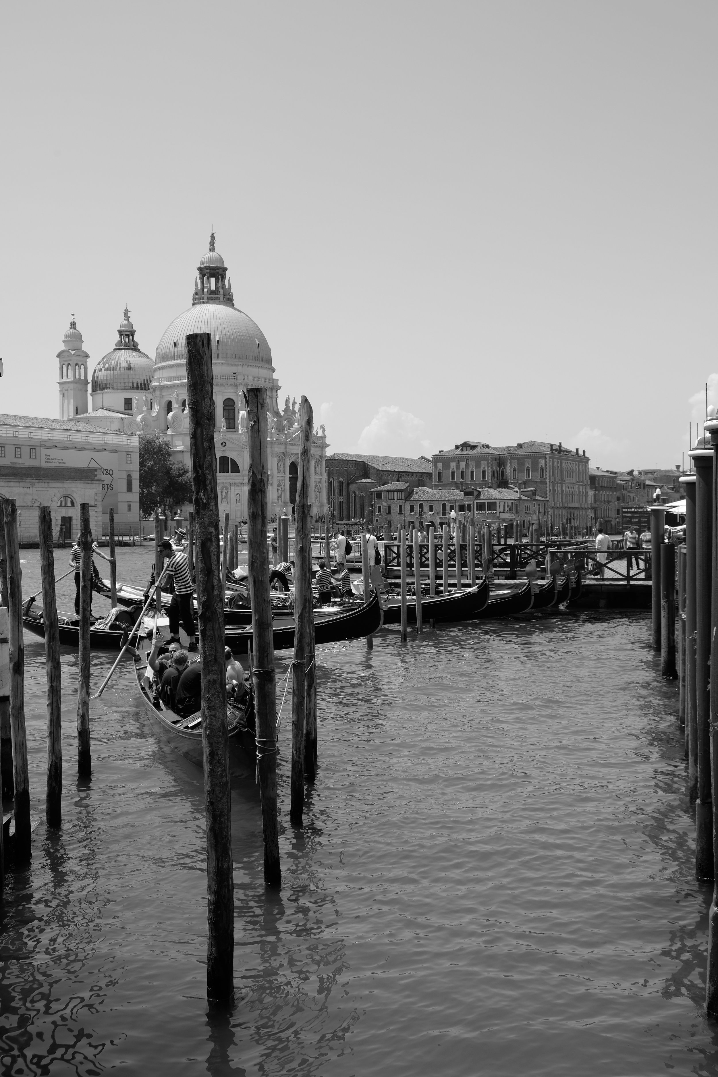 DSCF0198.JPG