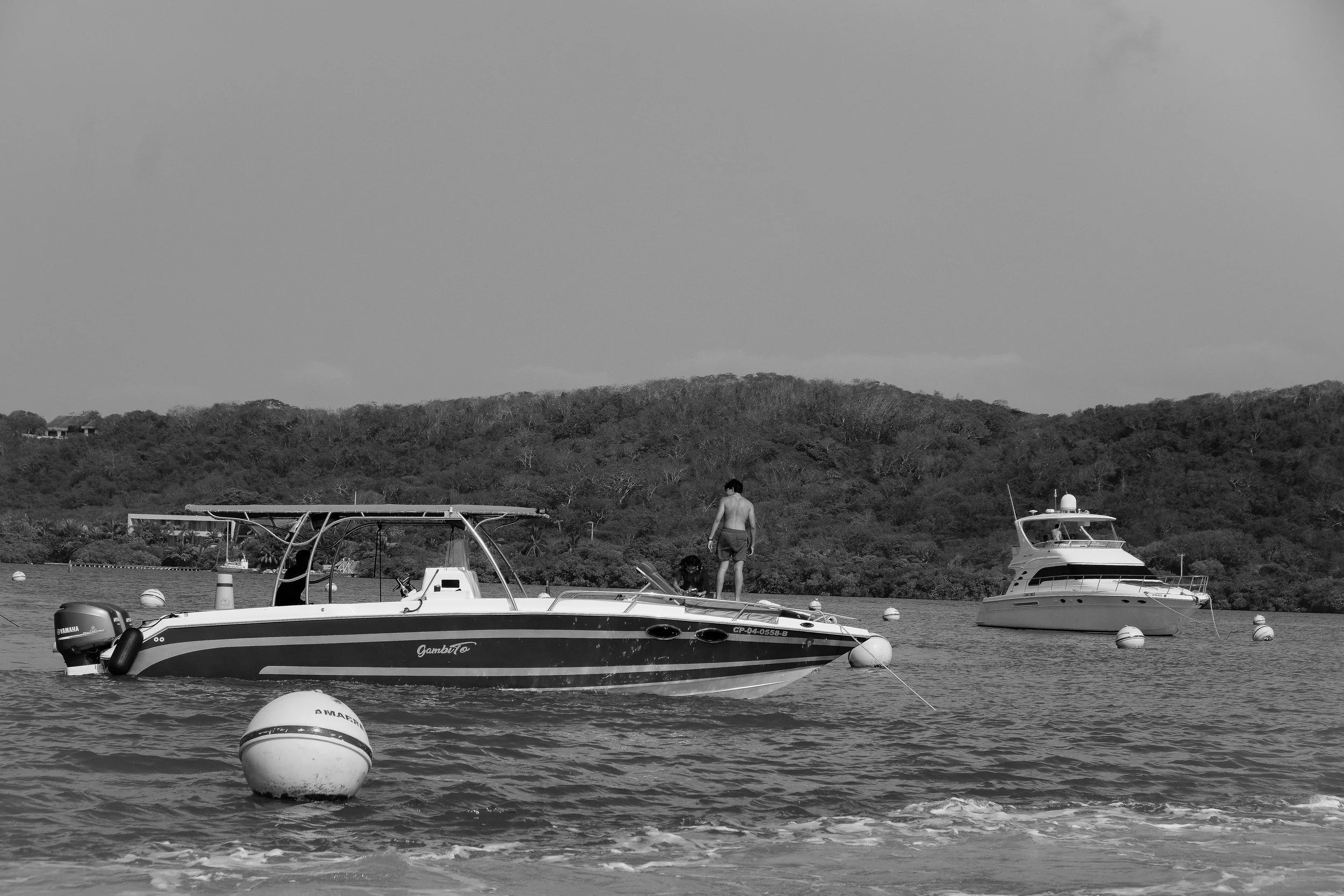 DSCF8395.jpg