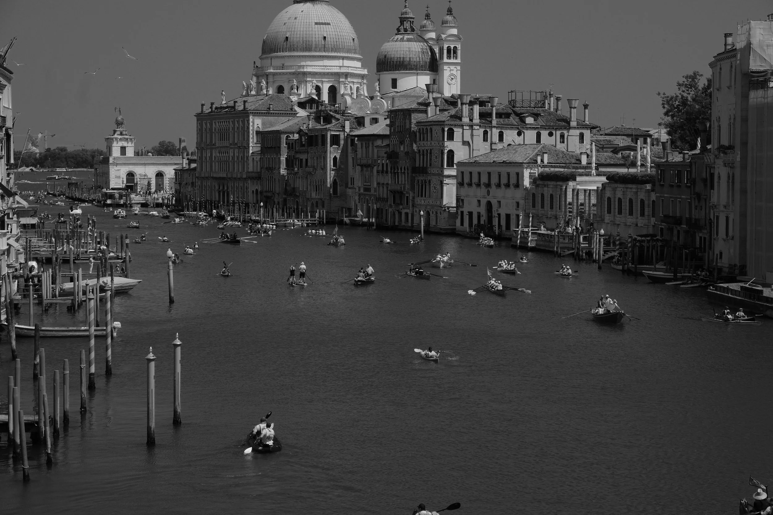 DSCF0607.JPG