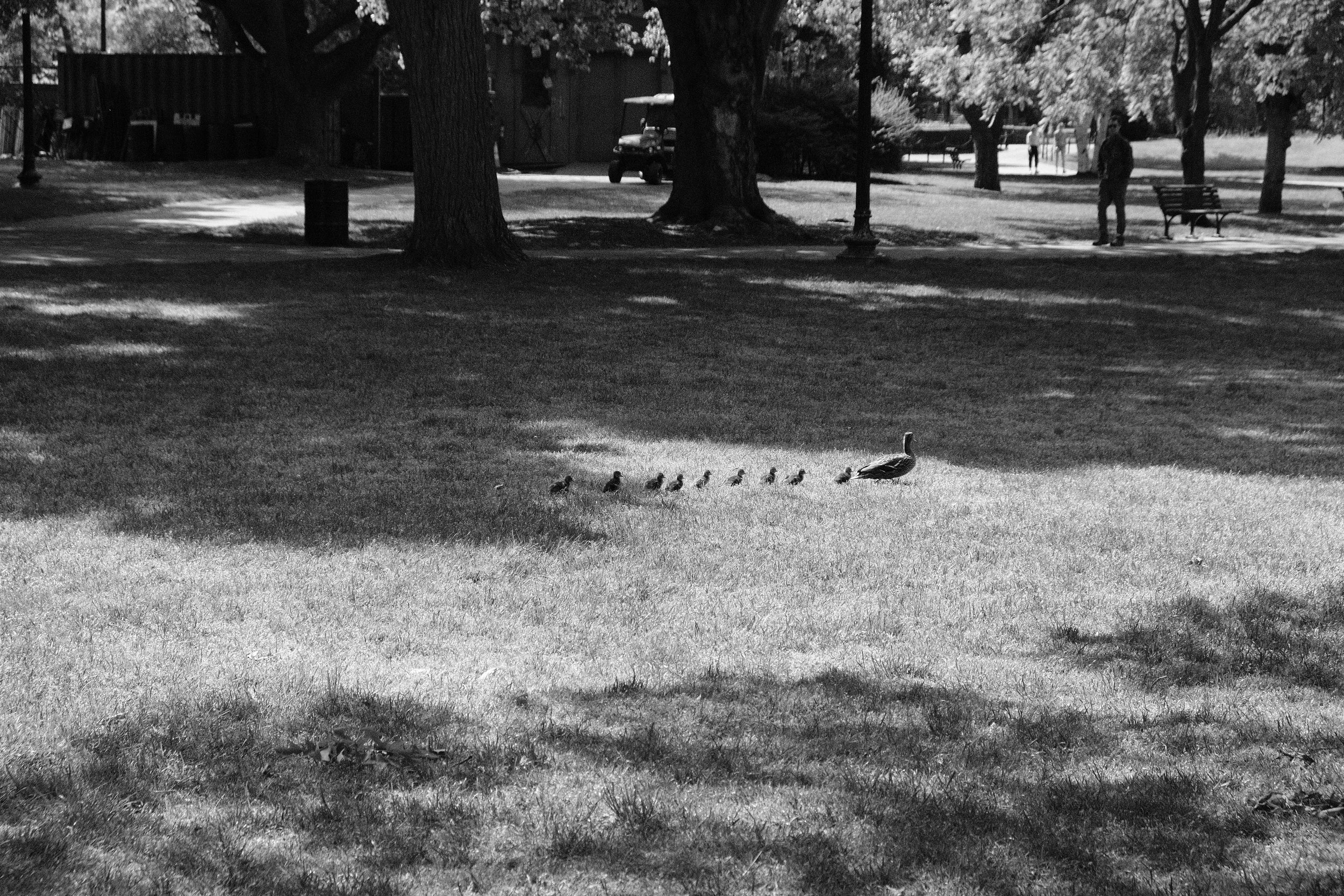 DSCF4779.JPG