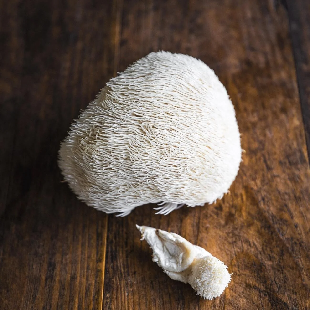 Lions Mane Mushroom