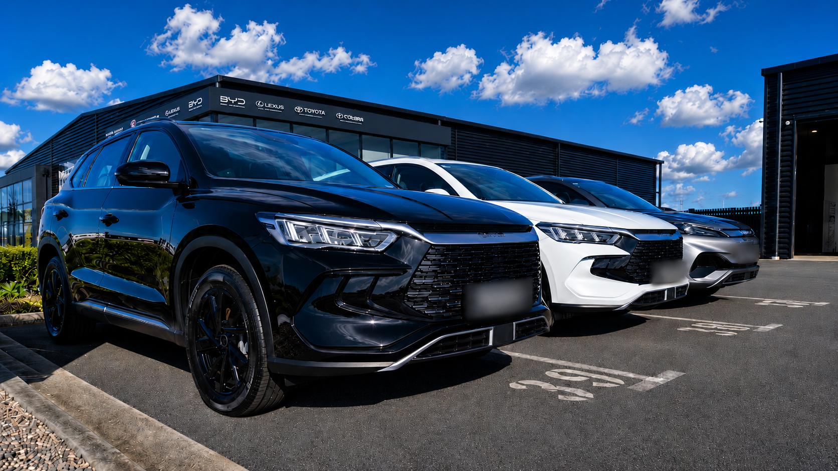 WH BYD Fleet 2.png