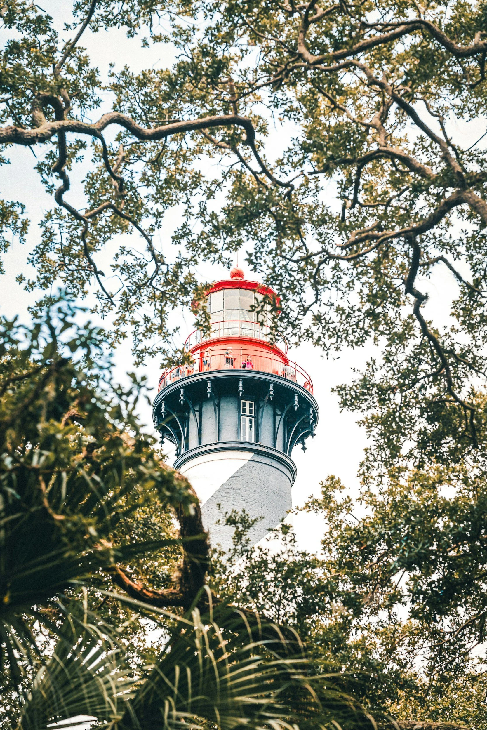 A lighthouse with a red top, seen through the branches and leaves of trees.