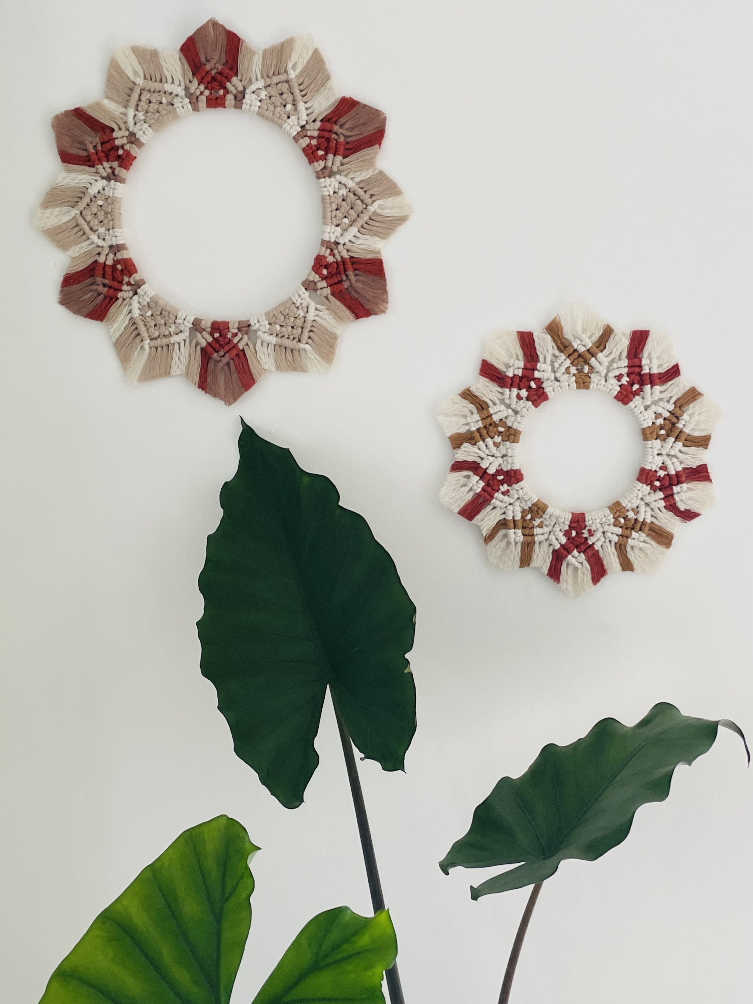 Macramé Hoop Wall Decor Set