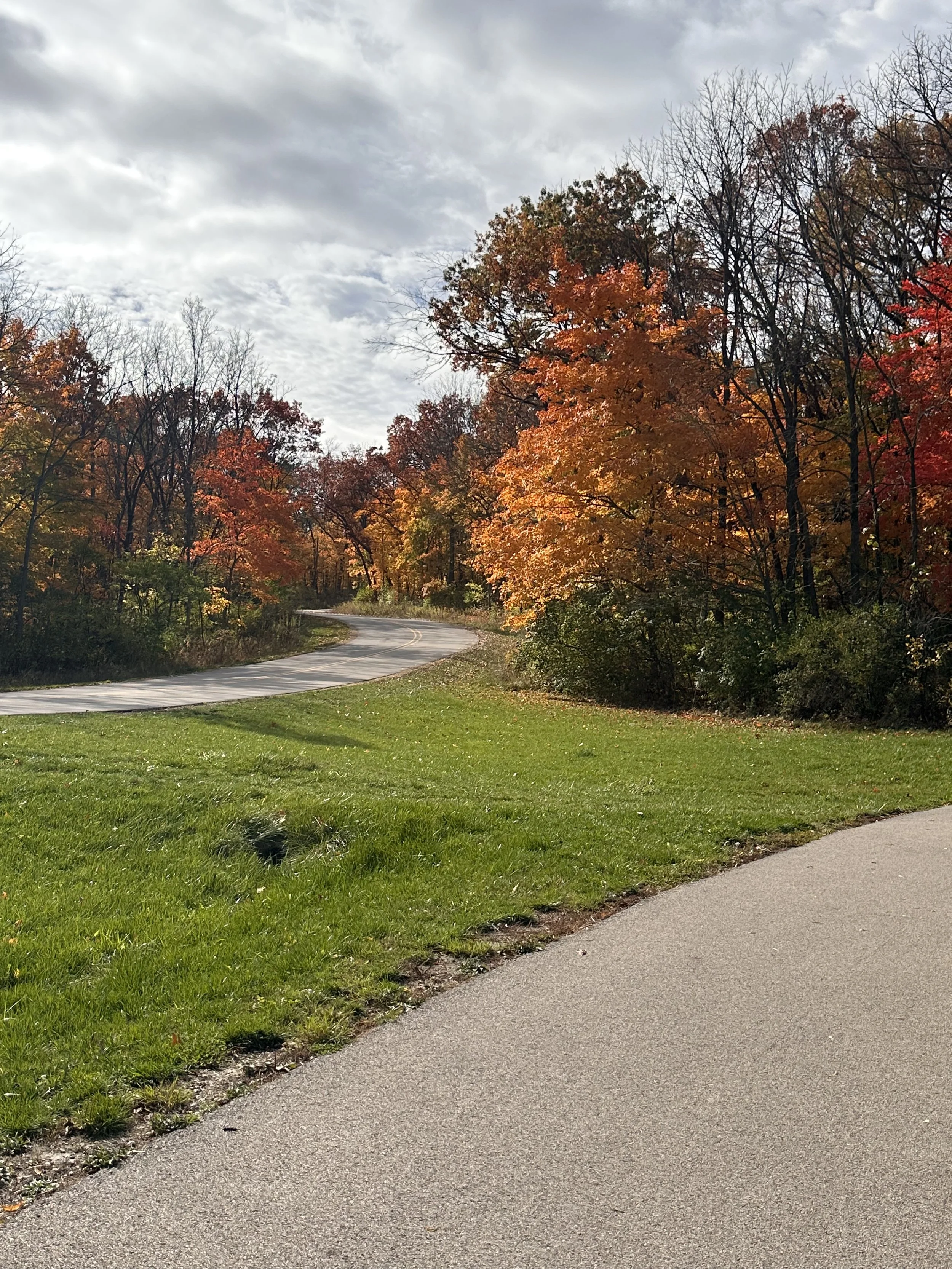 A winding paved path in a park surrounded by green grass and trees with colorful autumn leaves, under a partly cloudy sky.