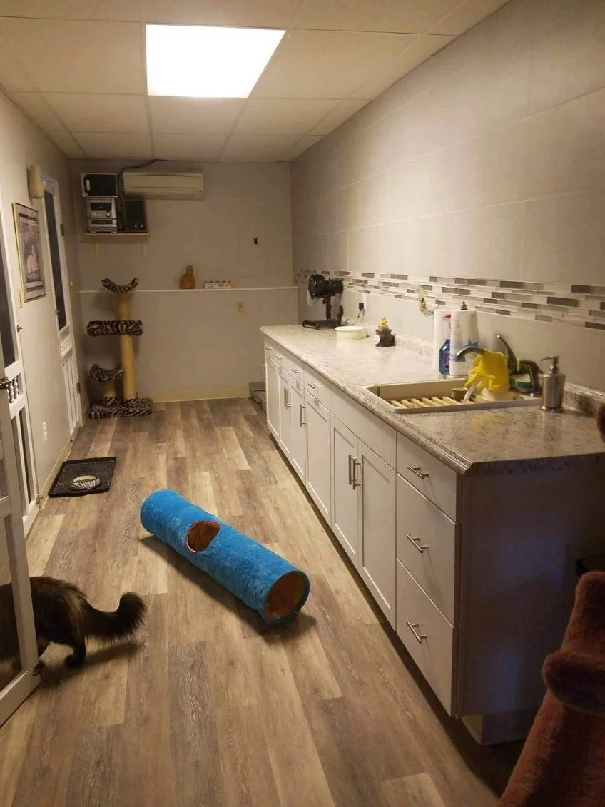 Maine-Coon-Cattery-Grooming-Care-Room-Central-NY.jpeg