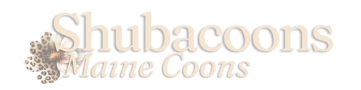 Shubacoons