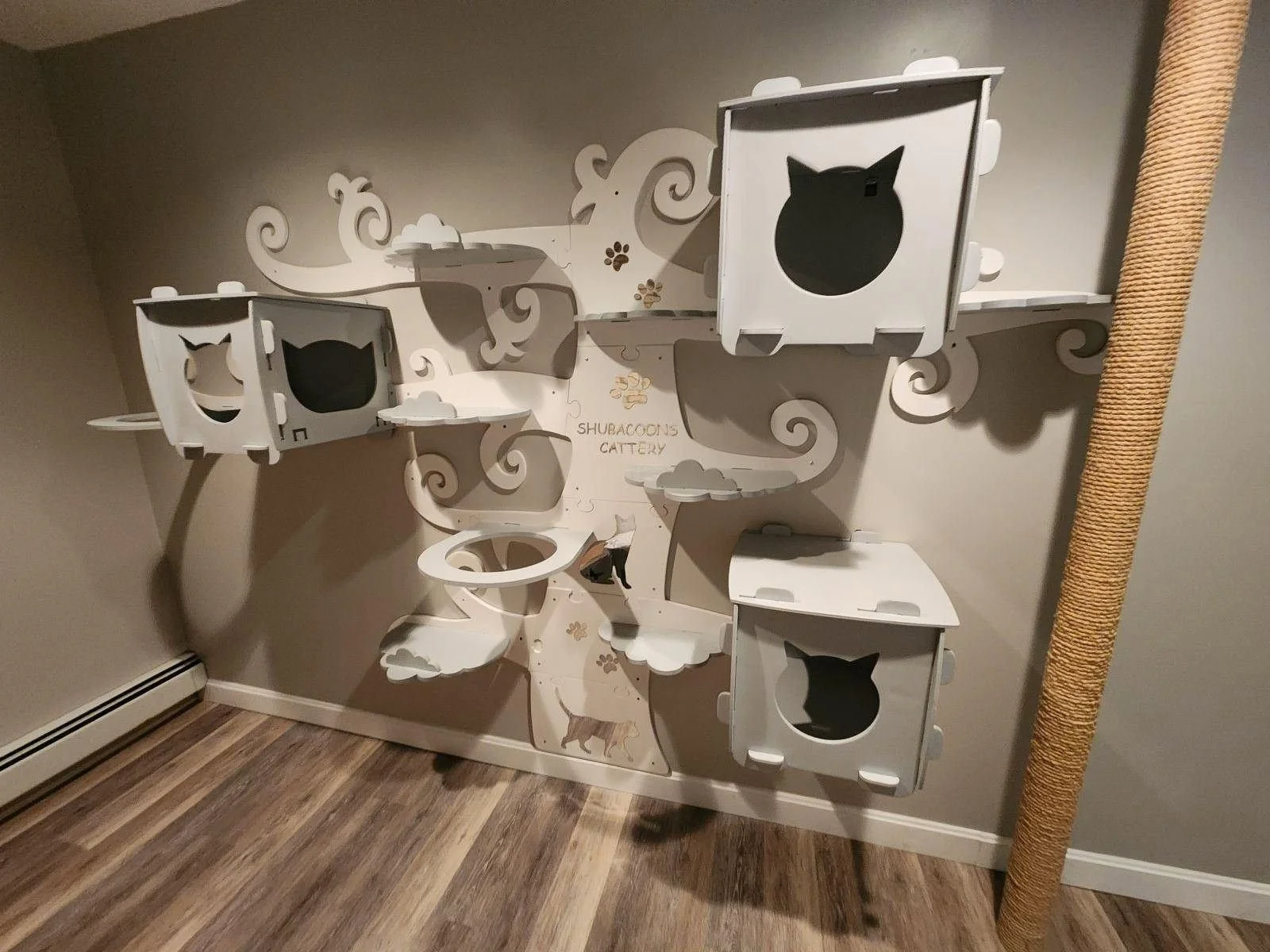 Custom-Branded-Cat-Wall-Maine-Coon-Cattery-Binghamton-NY.jpeg