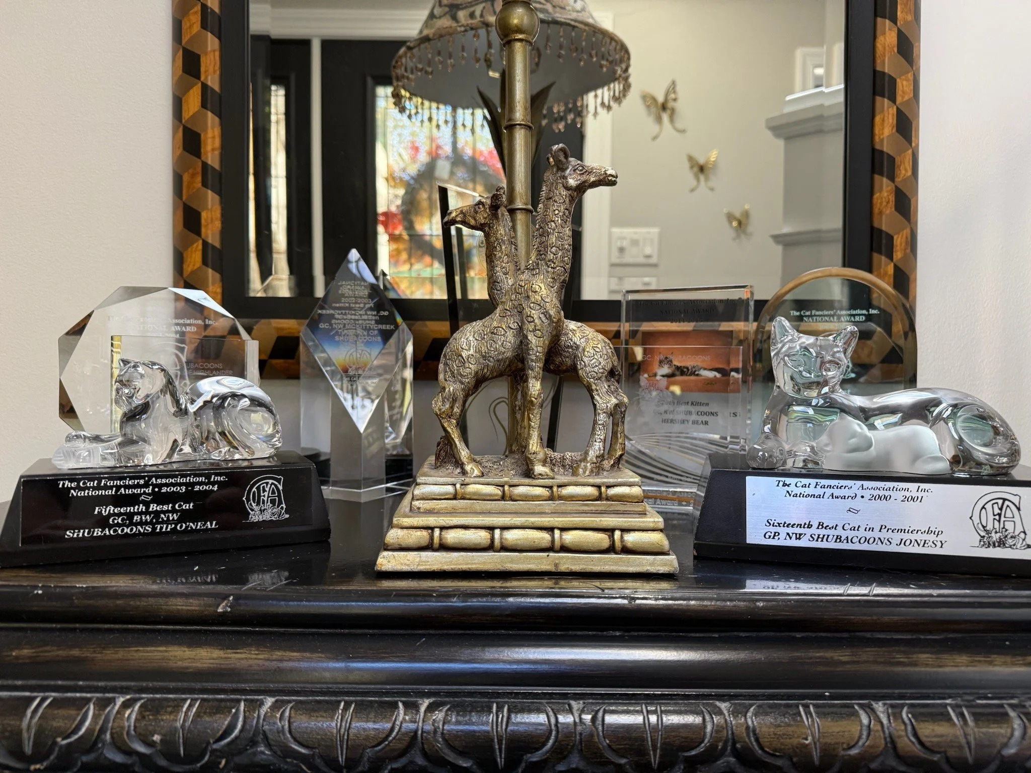 Shubacoons-CFA-National-Award-Trophies-Display-Central-NY.jpg