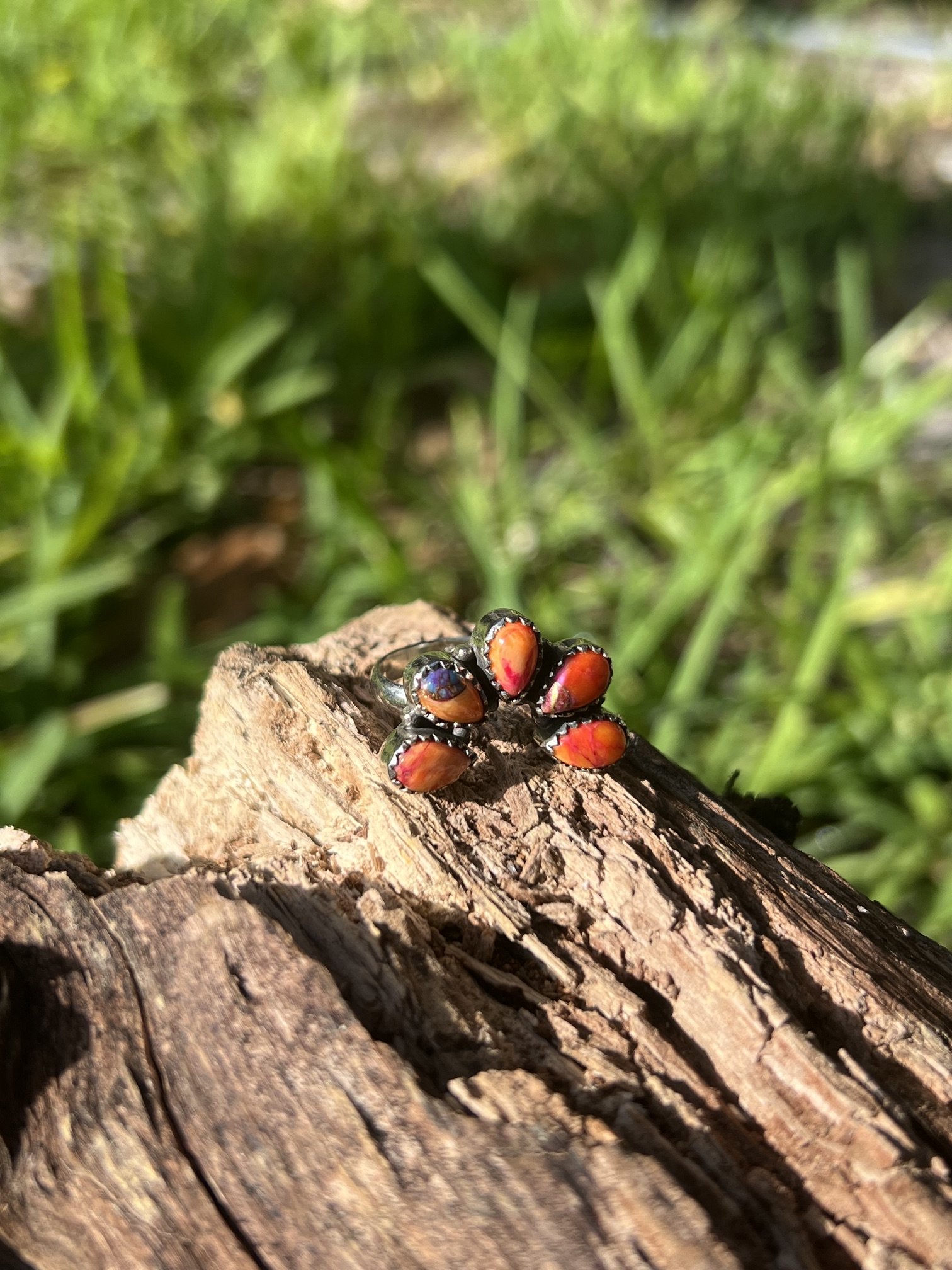 IMG_7970.jpeg
