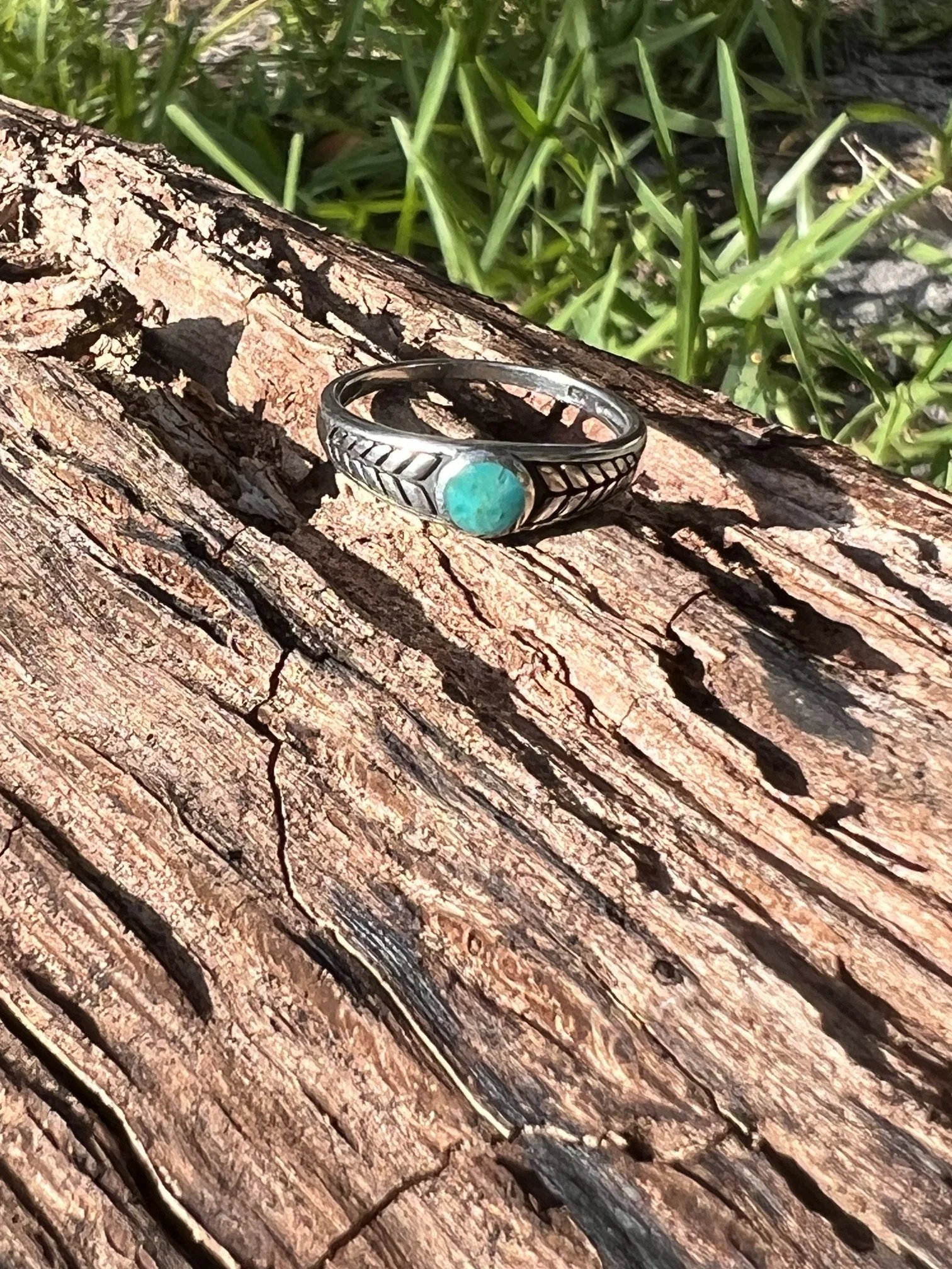 IMG_7951 (1).jpeg