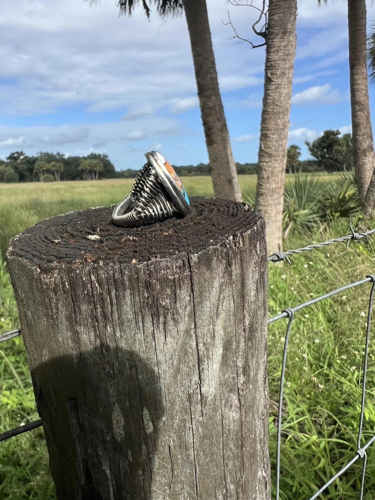 IMG_0148.jpeg