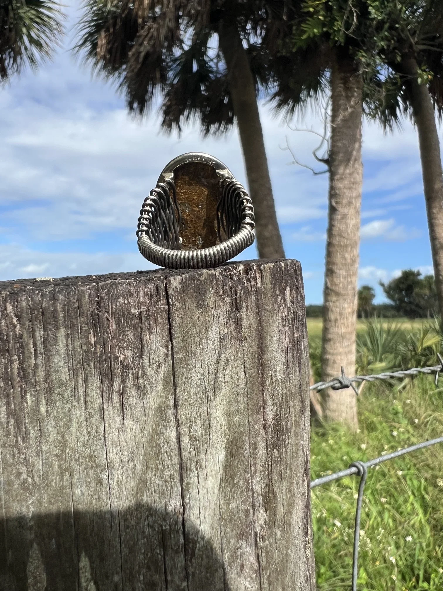 IMG_0149.jpeg