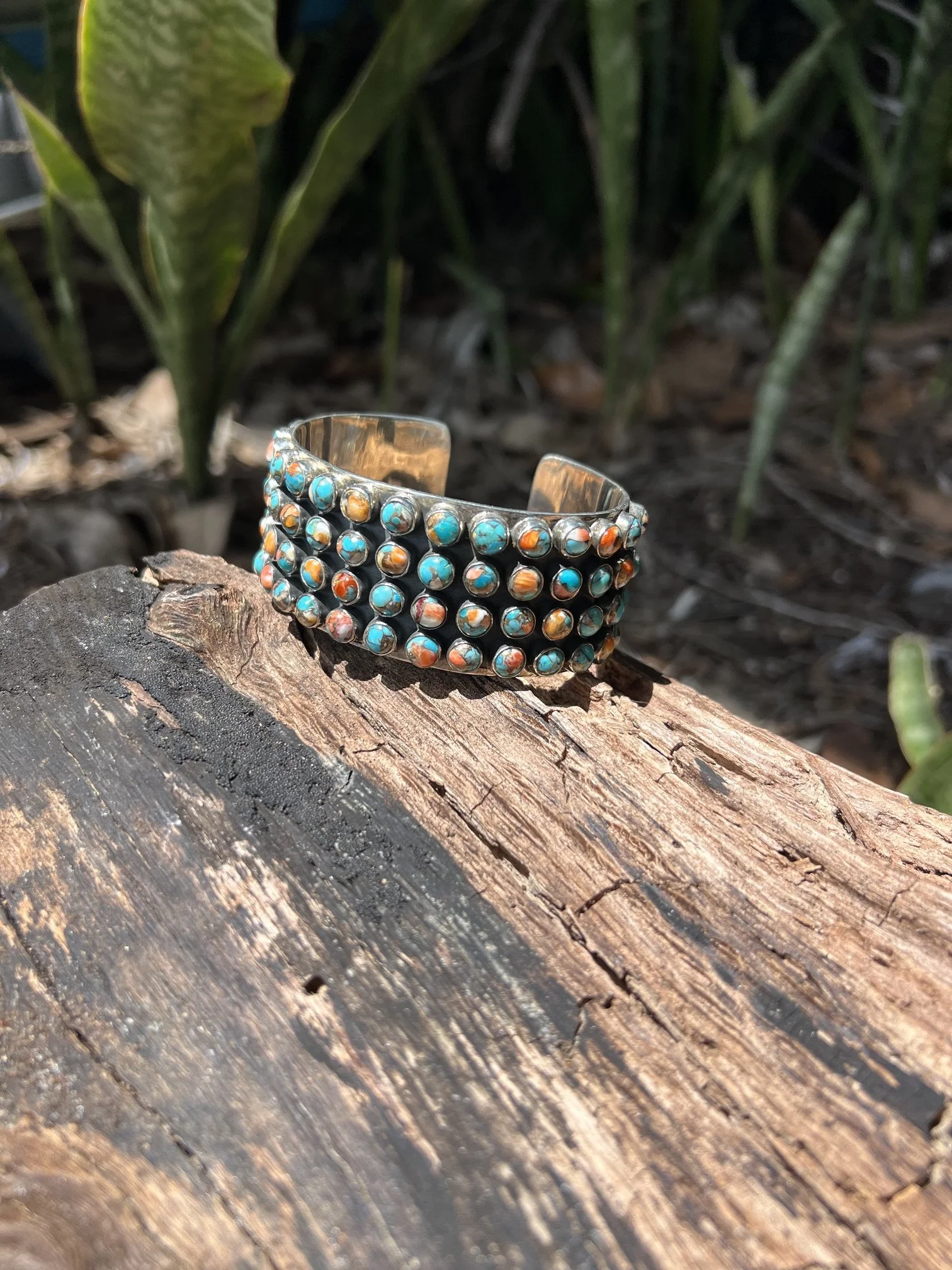 IMG_8677.jpeg