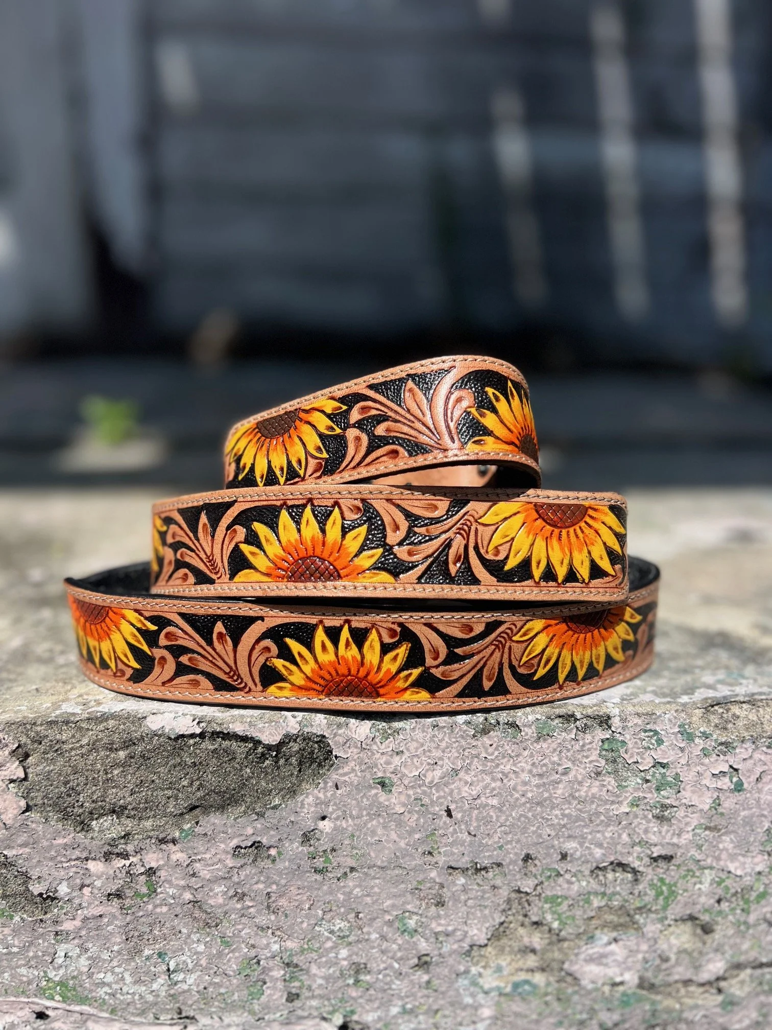 Sunflower Trail Dog Collar