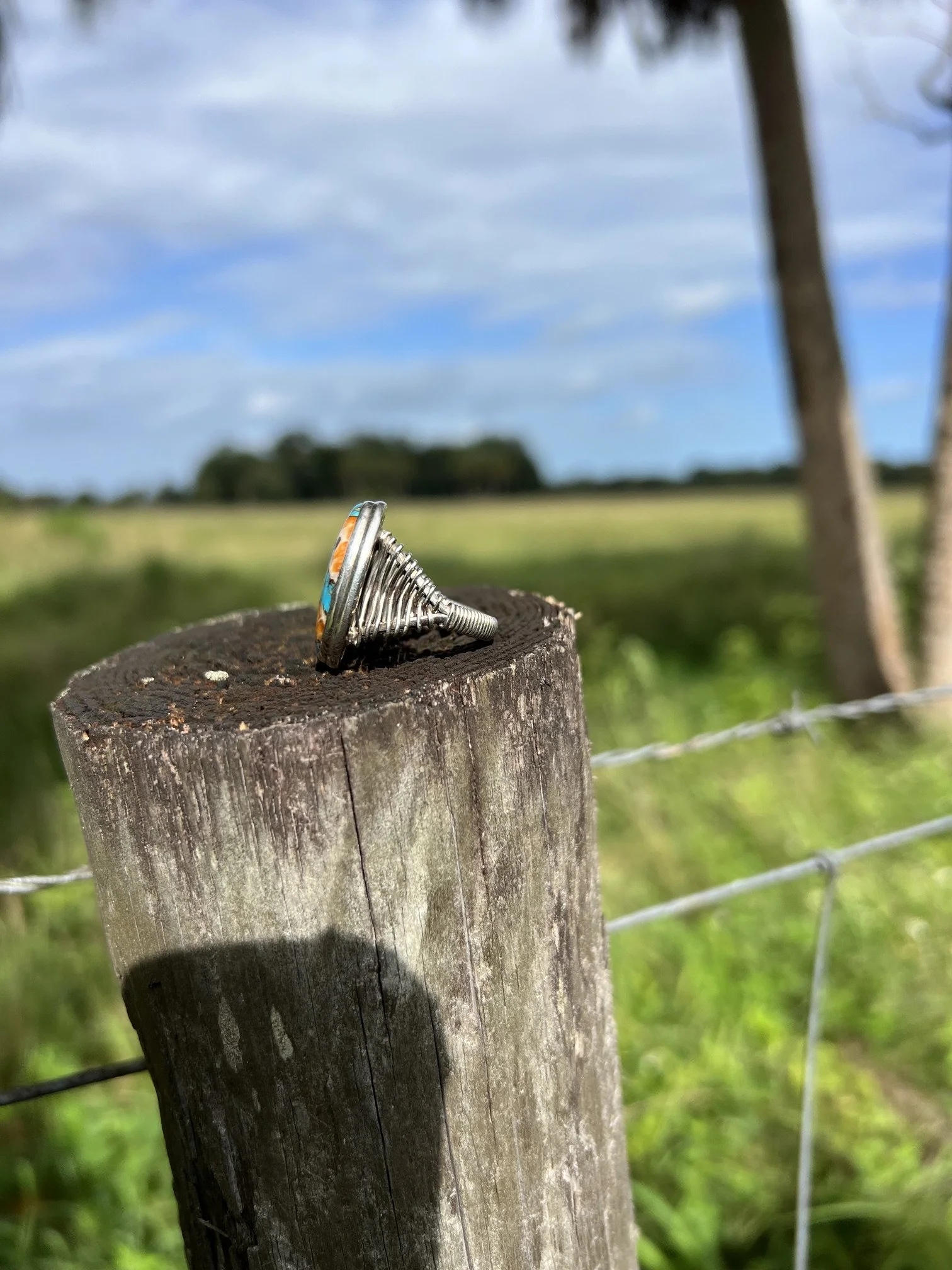 IMG_0150.jpeg