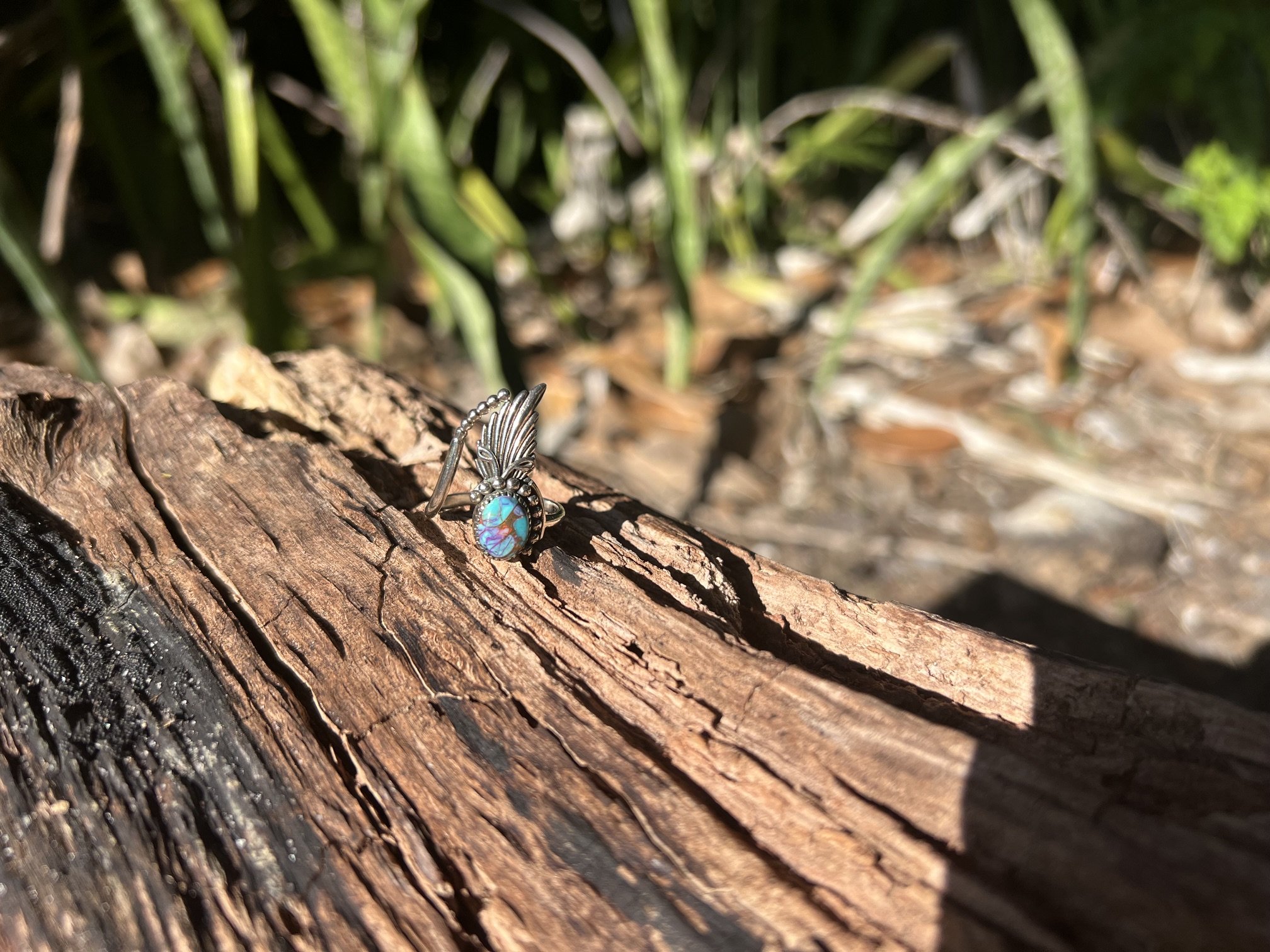 IMG_8331.jpeg
