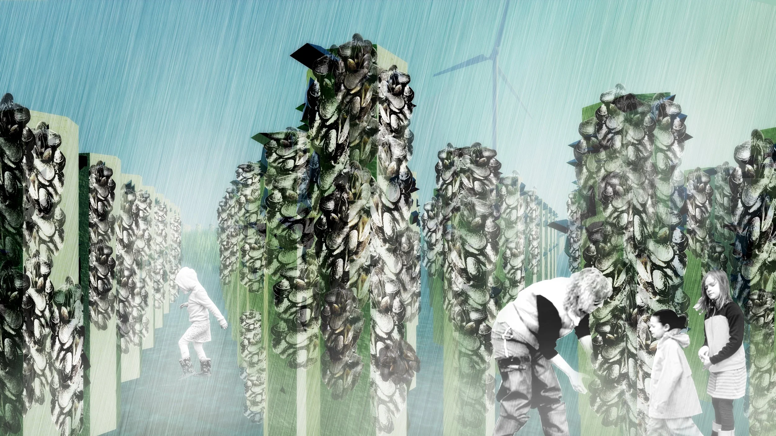 Oyster forest.