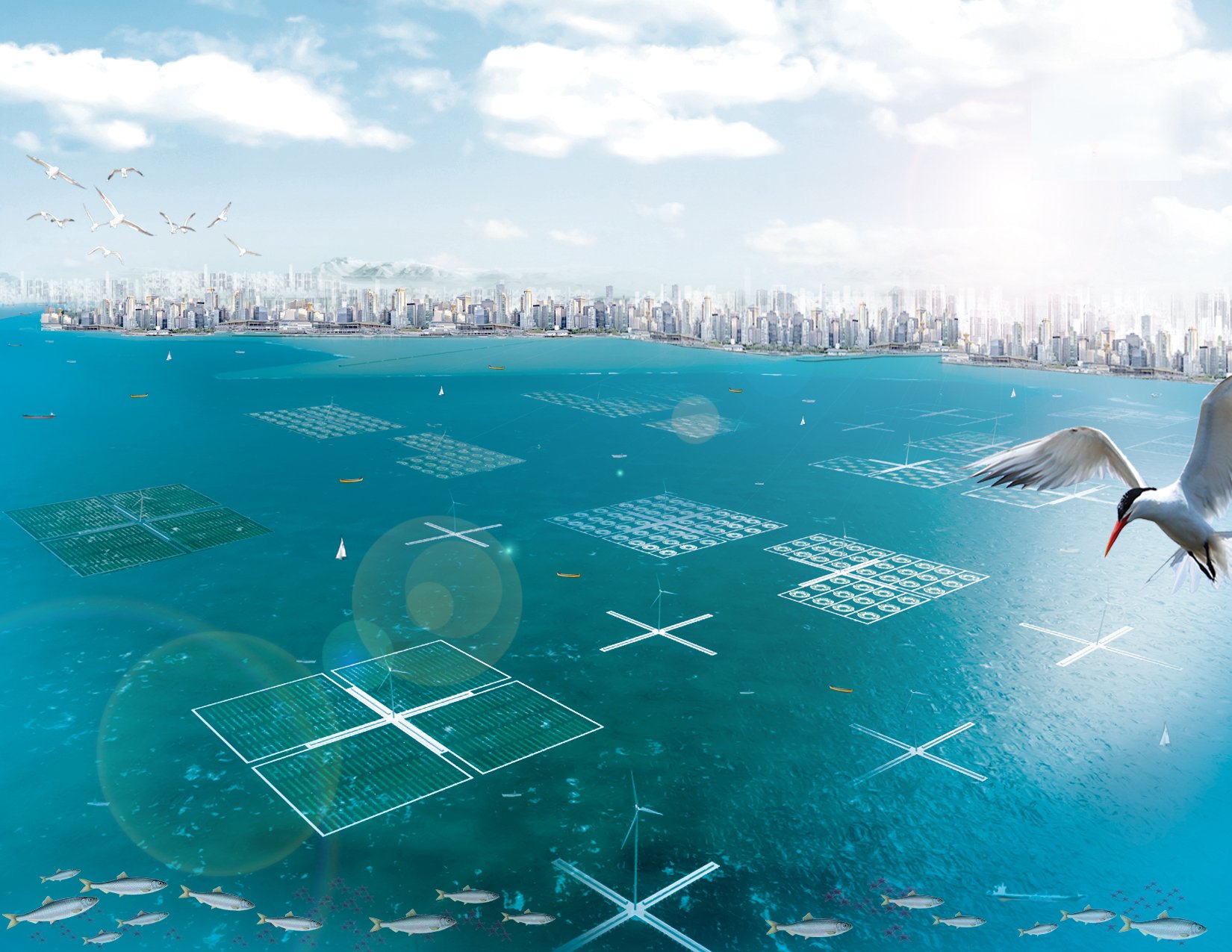 Floating farms embrace salt water farming, sea level flooding + future food's.