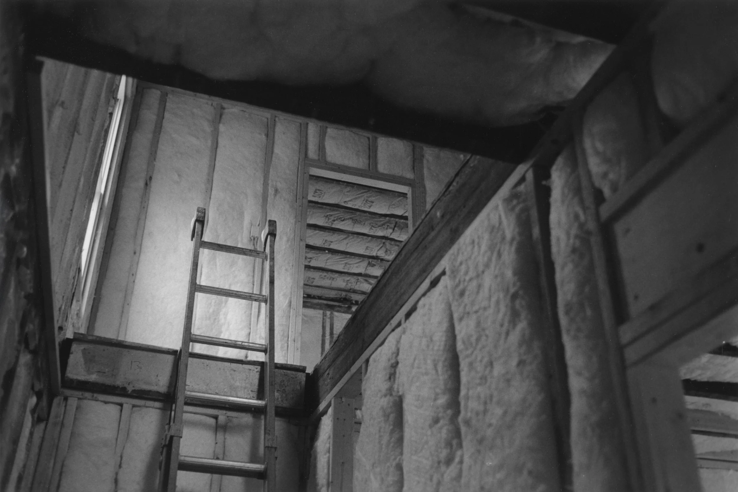 ladder.jpg