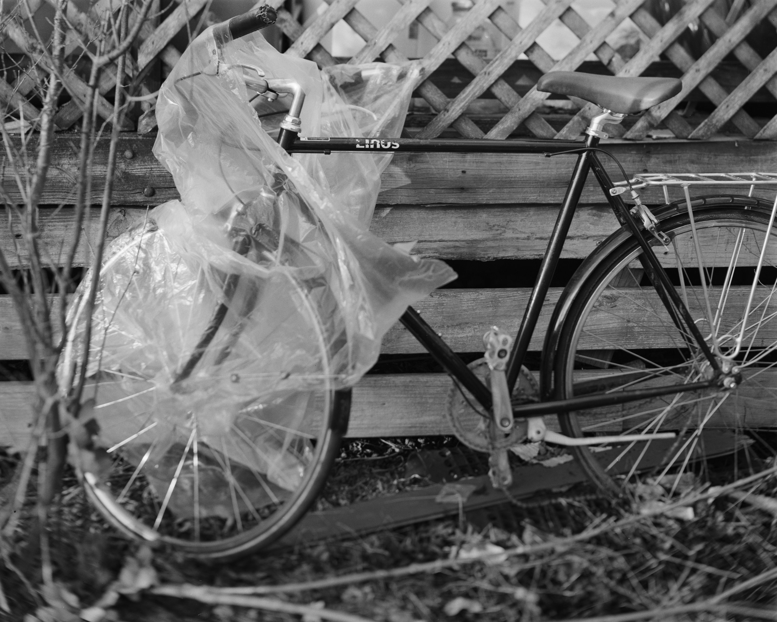 Bike G.jpg