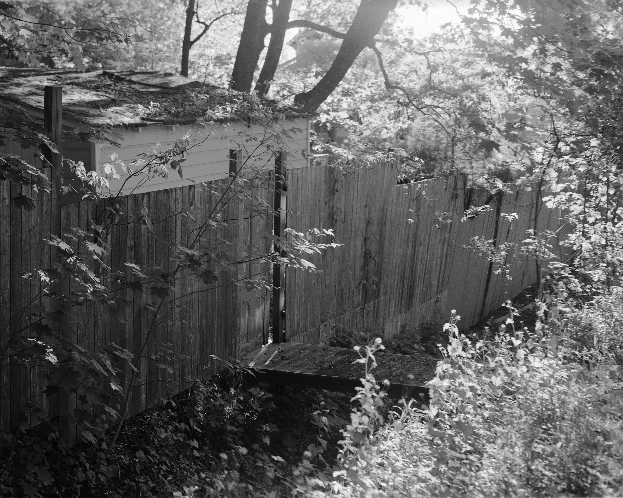 Bridge G.jpg