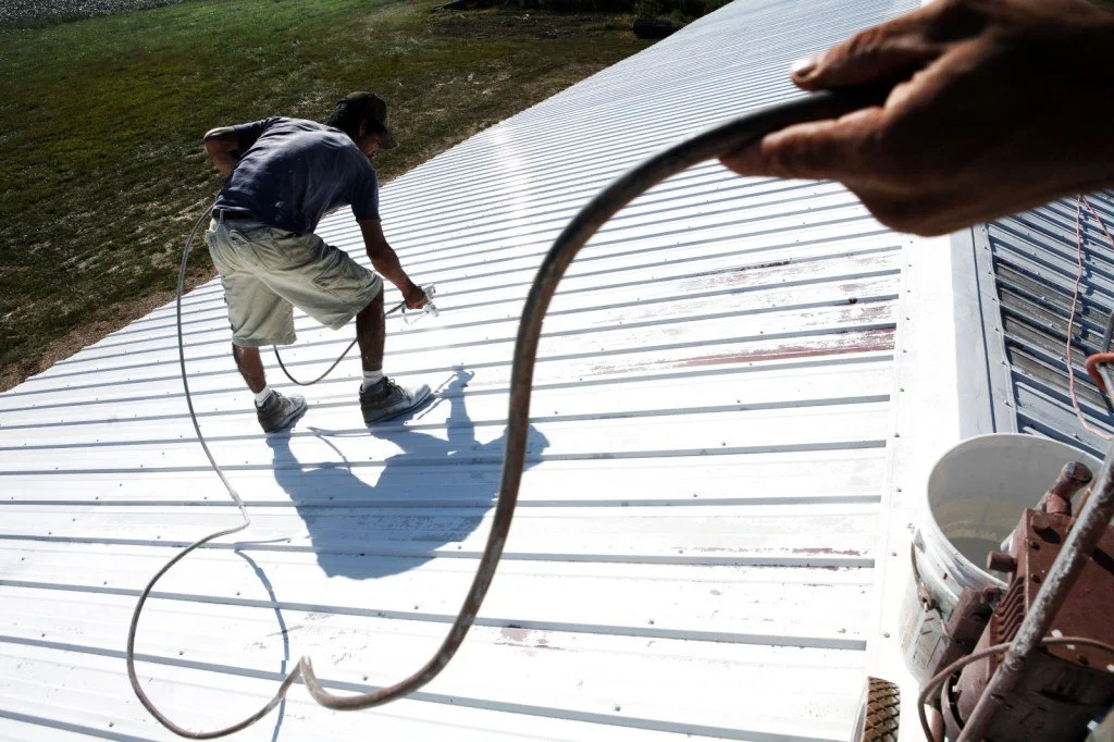 The smell of fresh paint permeates in the air on the roof of a barn that stores tobacco waiting to be dark-fired. Two men, Cortes, right, and Angel Rodriguez Castillo, 34, balance themselves on the recycled tin surface to spray the roof as they conti