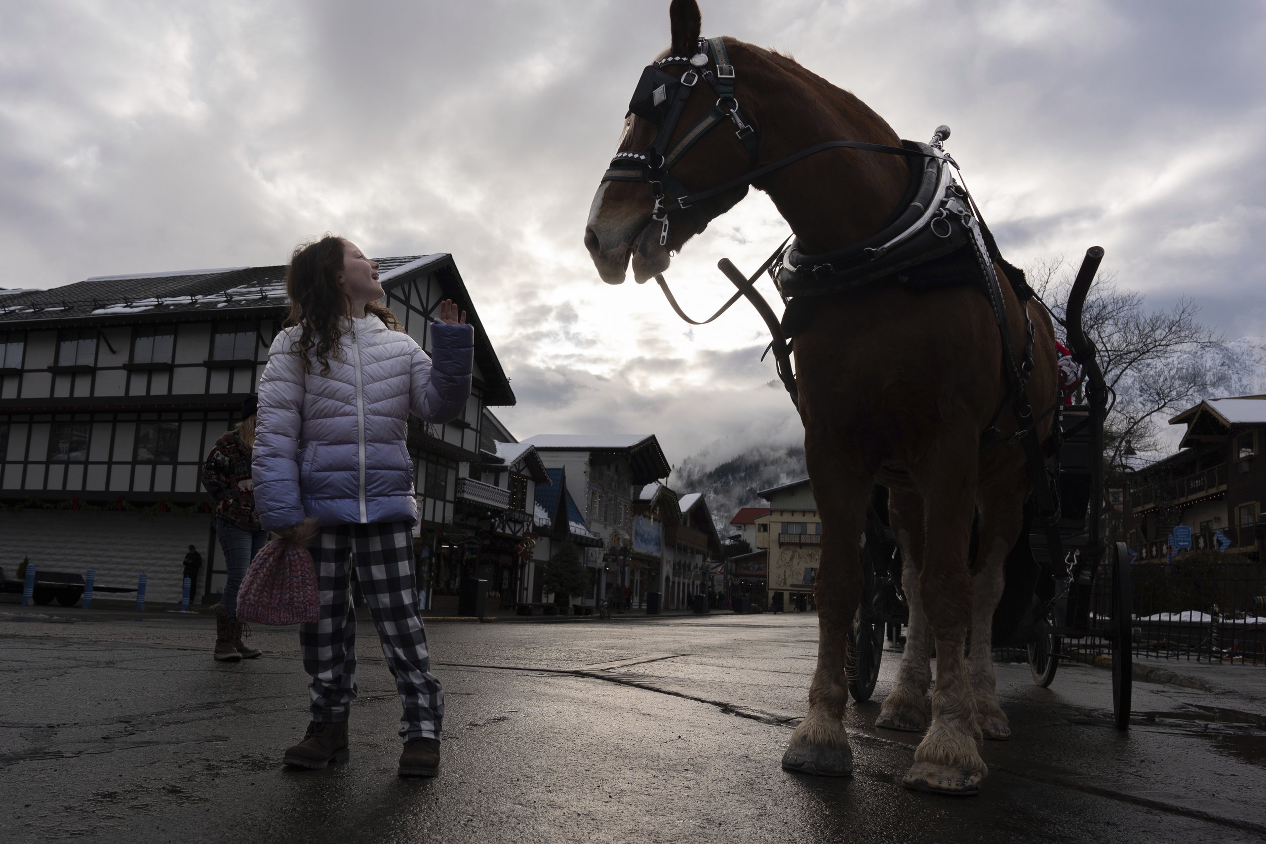 Anna Jarski, 8, of Seattle, waves to Olav the Belgian draft horse on Monday, Nov. 25, 2024, in Leavenworth, Wash.