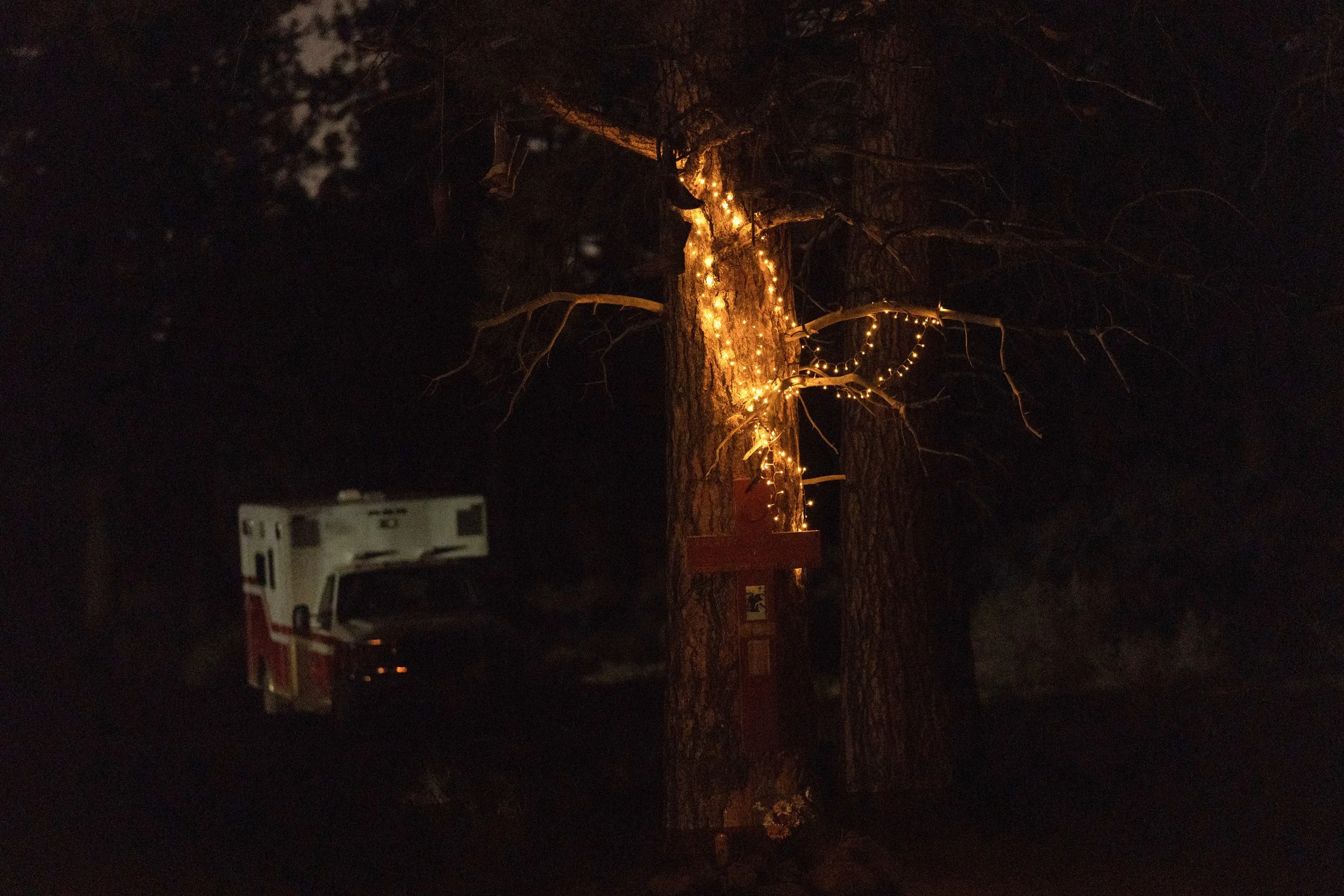 A string of lights hangs on a tree above a memorial at a homeless encampment in Deschutes National Forest Wednesday, April 30, 2025 near Bend, Ore.