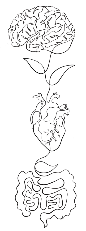A continuous line drawing of a brain, a leaf, a human heart, and a brain-shaped intestine arranged vertically.