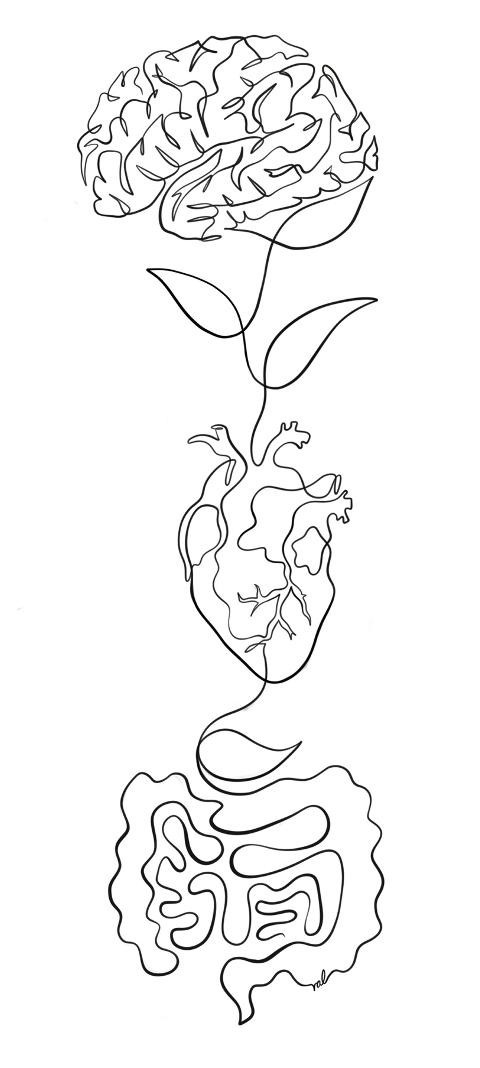 A line drawing combining a brain, a flower, a human heart, and intestines in a continuous line art style.