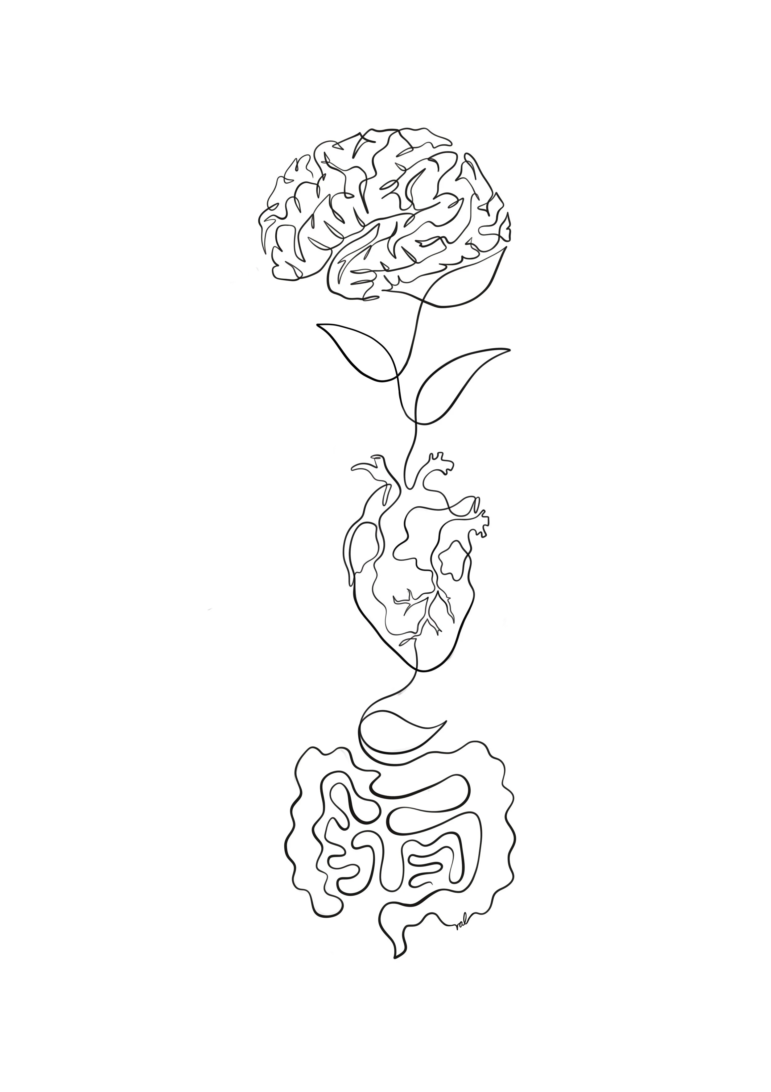 A continuous line drawing of a human heart with an anatomical brain on top and a stylized flower growing from the top of the brain, connected to an abstract outline of intestines at the bottom.