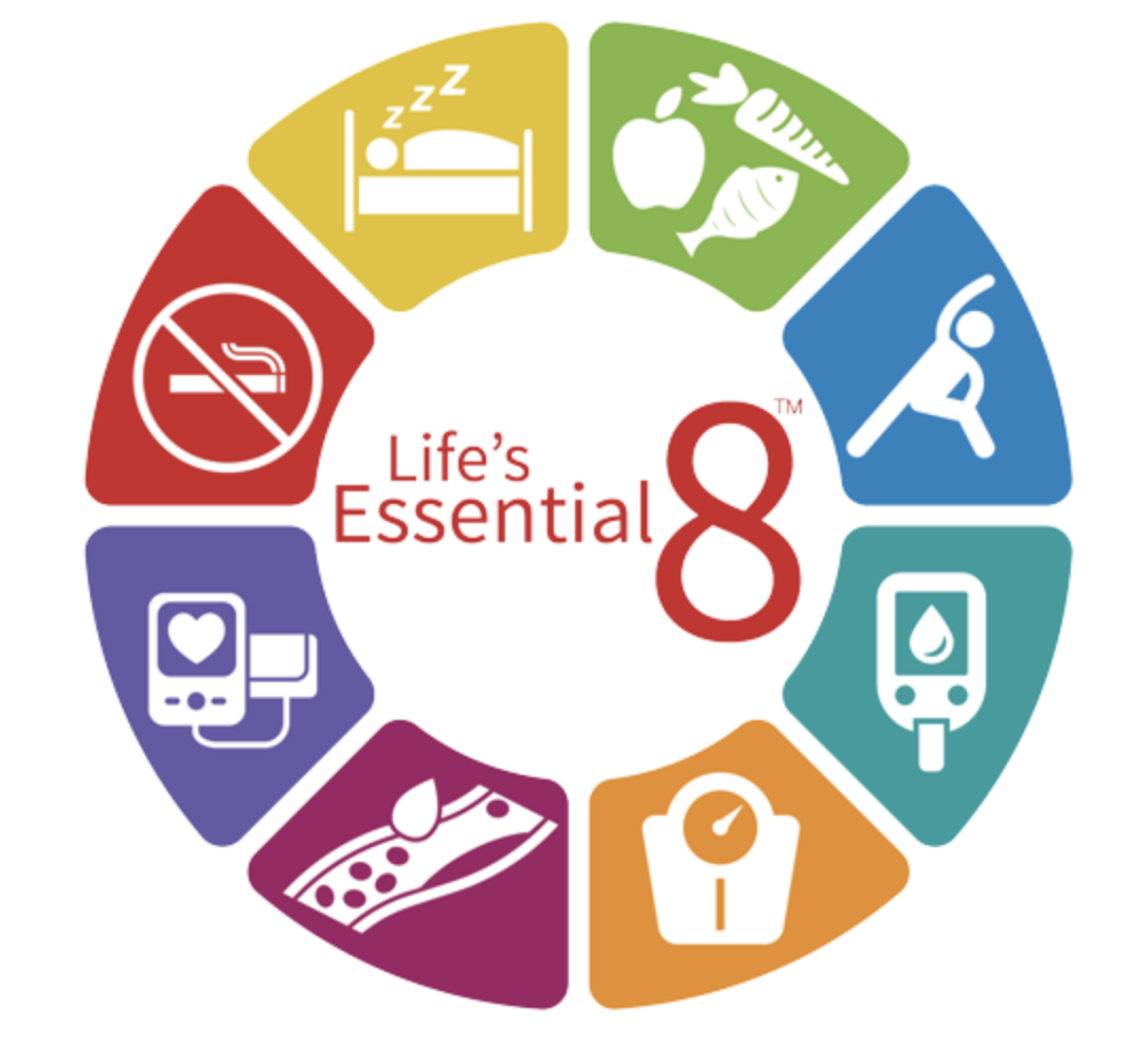 Circle of icons representing life's essentials: sleep, healthy eating, exercise, blood sugar monitoring, weight management, skin health, heart health, and no smoking.