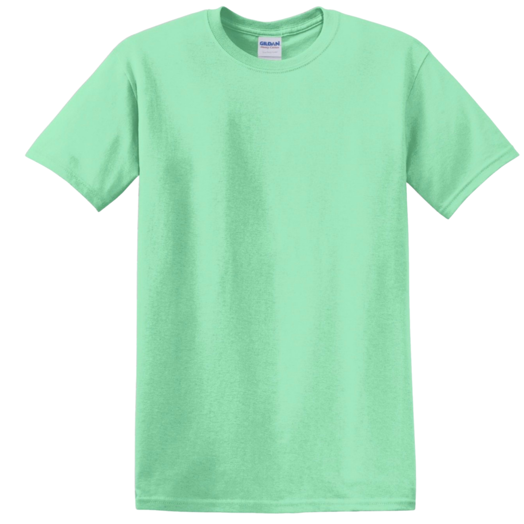 mint gildan.png