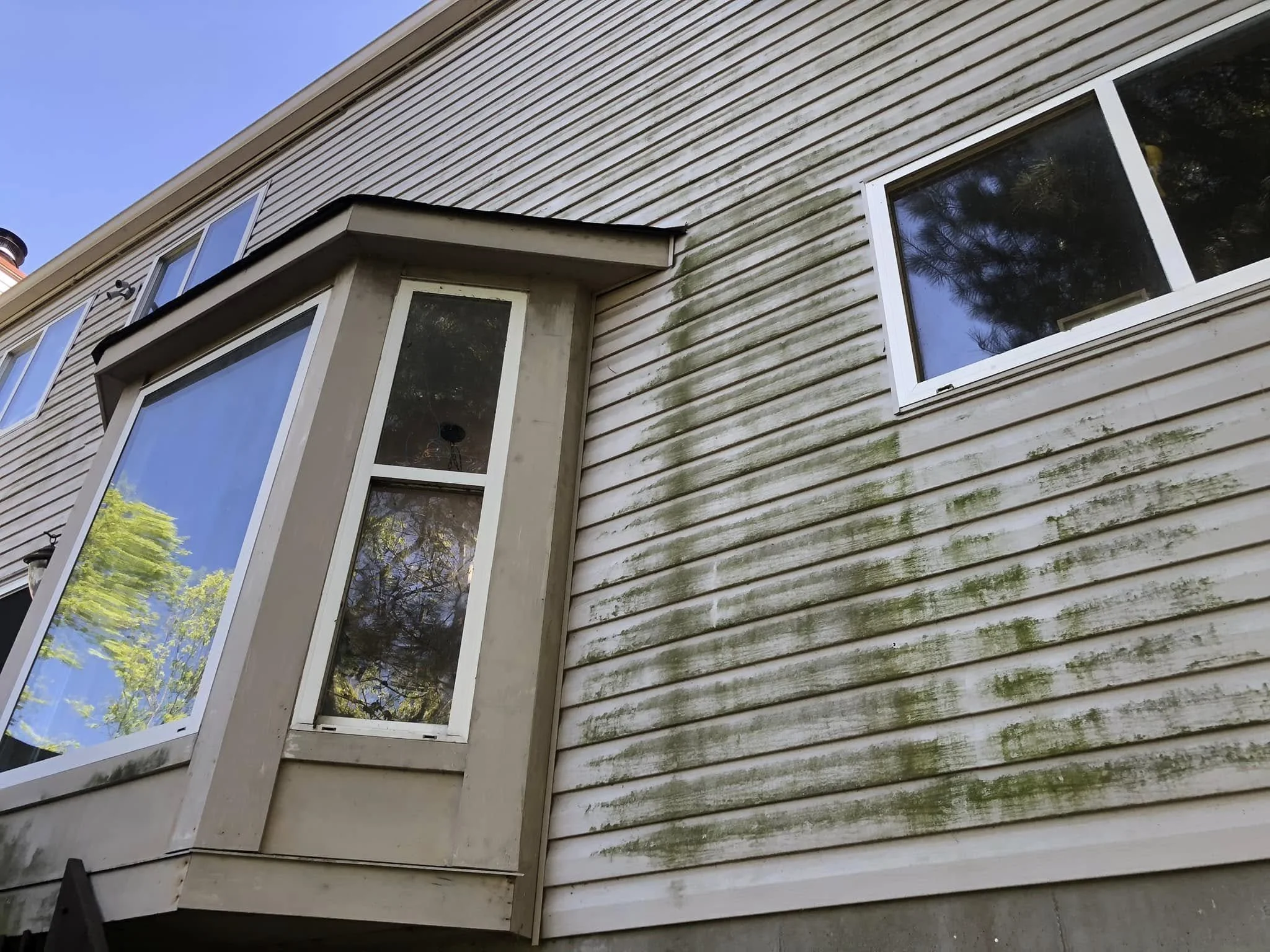 Close-up of the exterior of a house with beige horizontal siding, some areas stained or mossy, and white-framed windows, with trees reflected in the window glass.