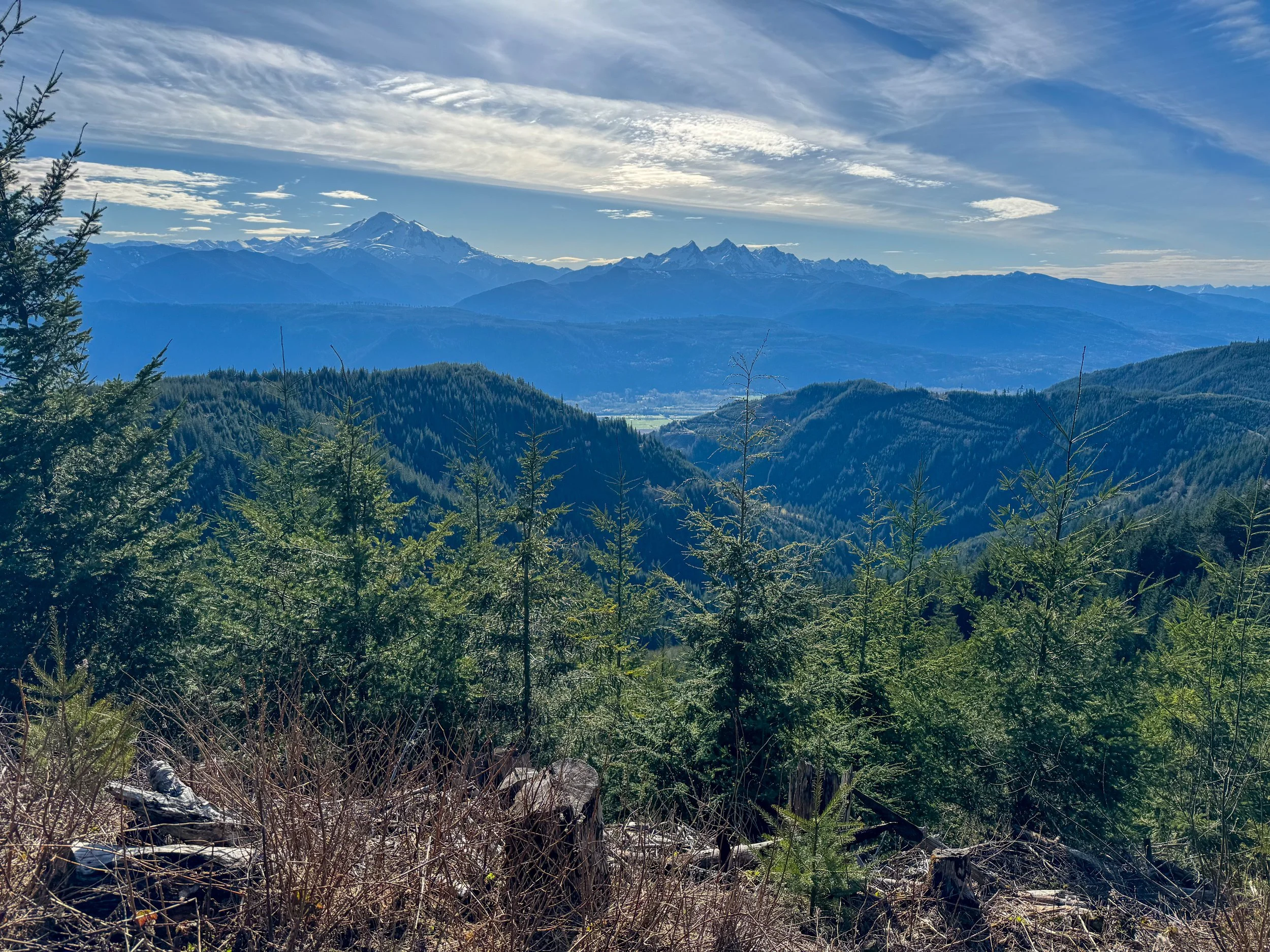 Bigfoot Hill WA