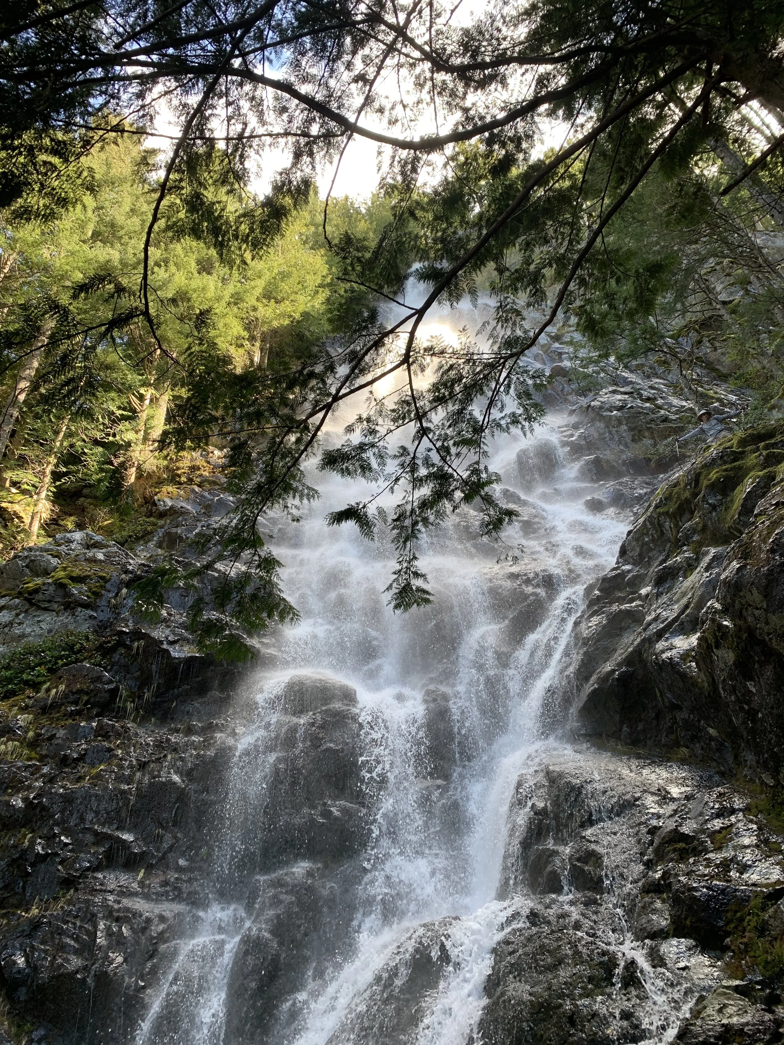 Mount Teneriffe WA