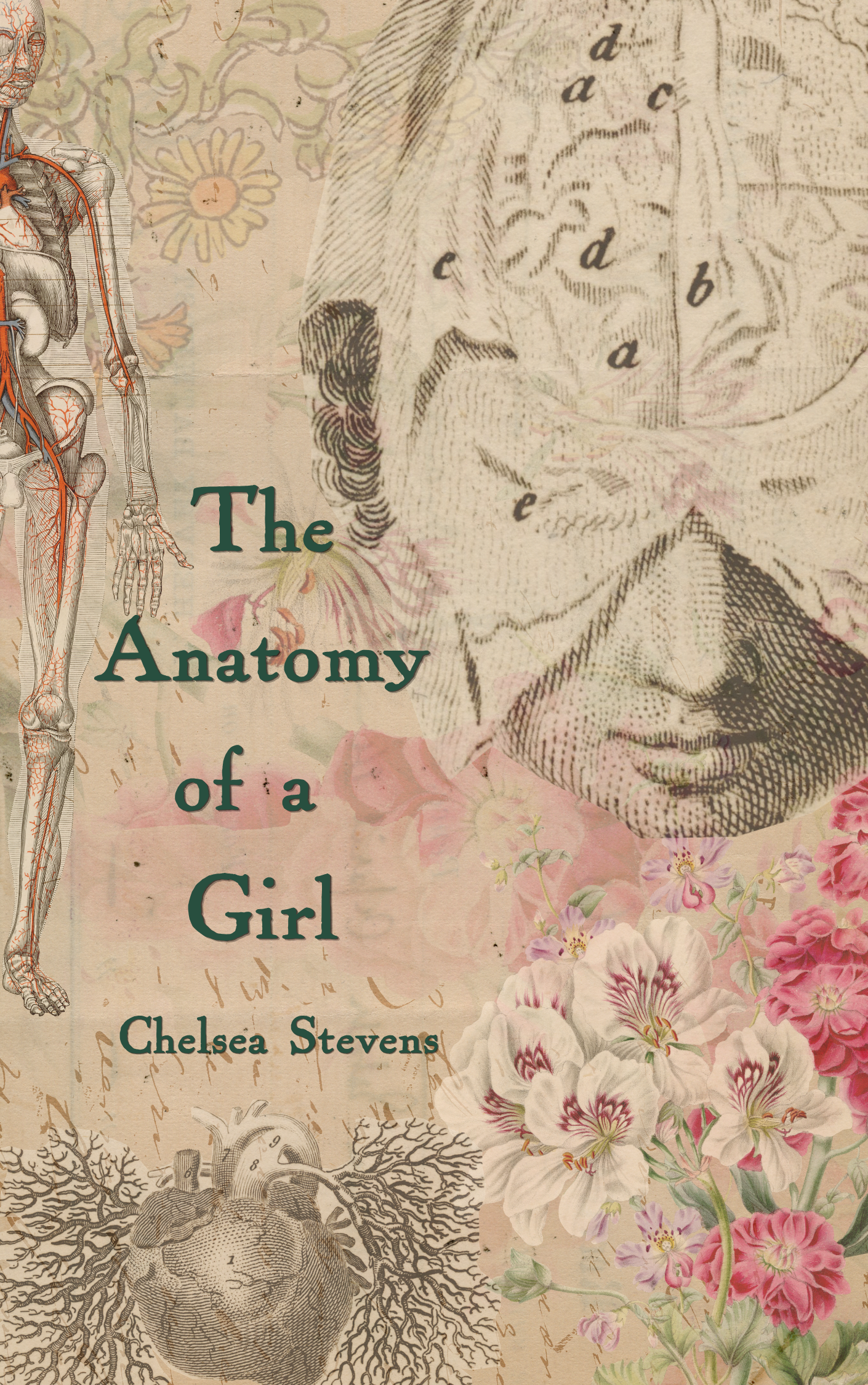 The Anatomy of a Girl