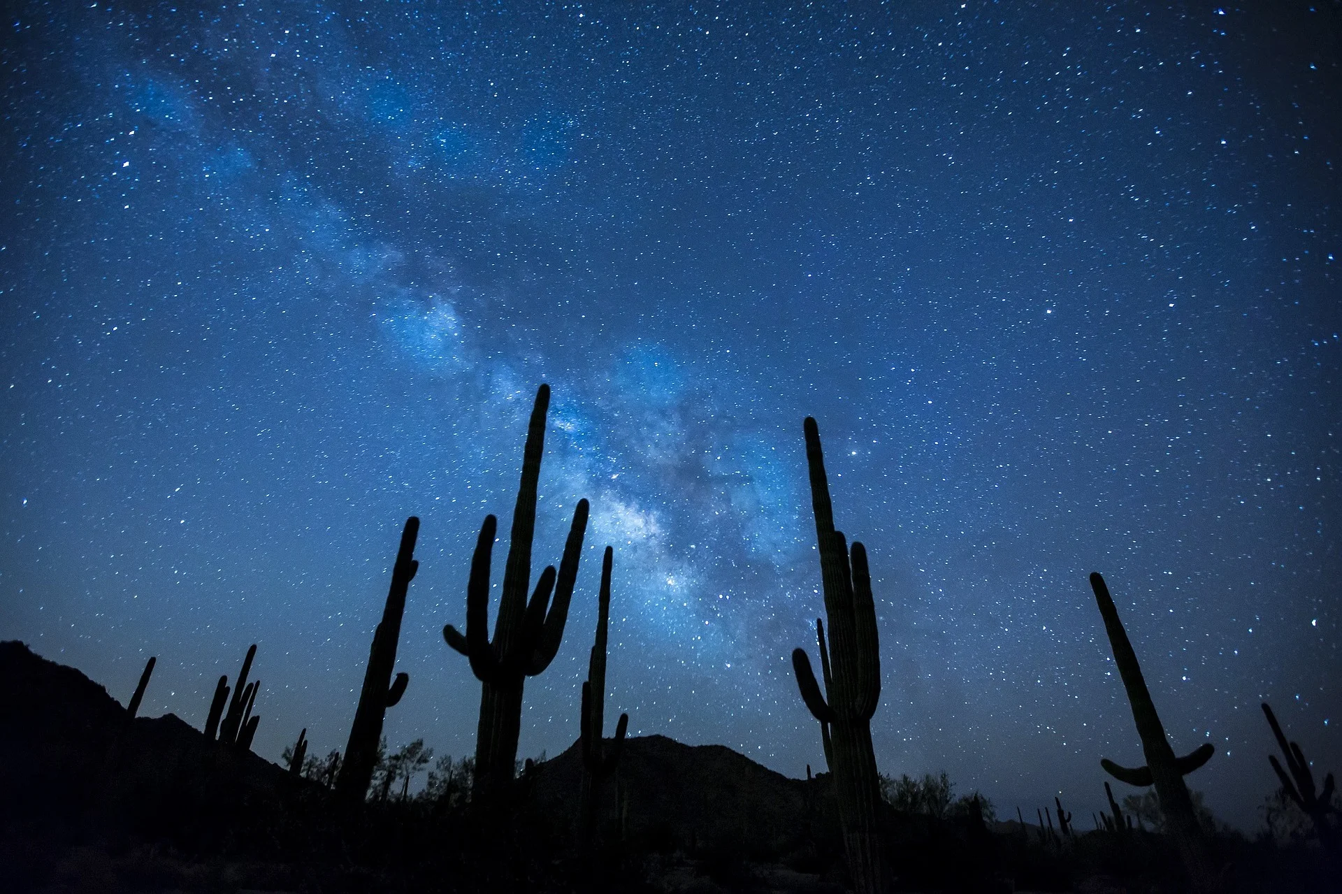 Silhouette of cactus plants against a starry night sky with the Milky Way galaxy.