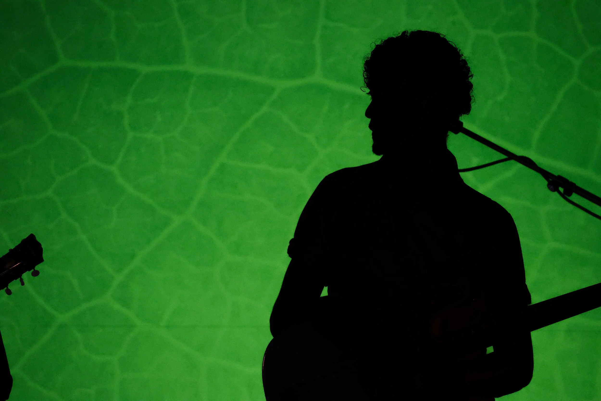 Silhouette d'un homme avec une guitare contre un fond vert avec un motif de lignes.