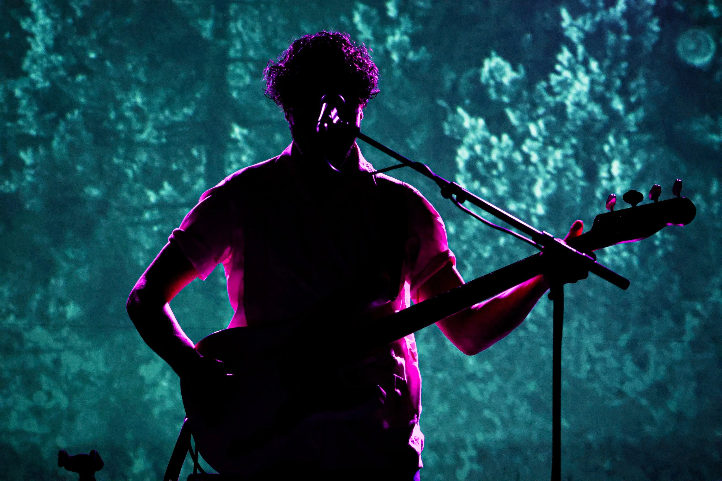 Silhouette d'un musicien jouant de la guitare sur scène, éclairé par un éclairage violet et entouré d'une forêt en arrière-plan.