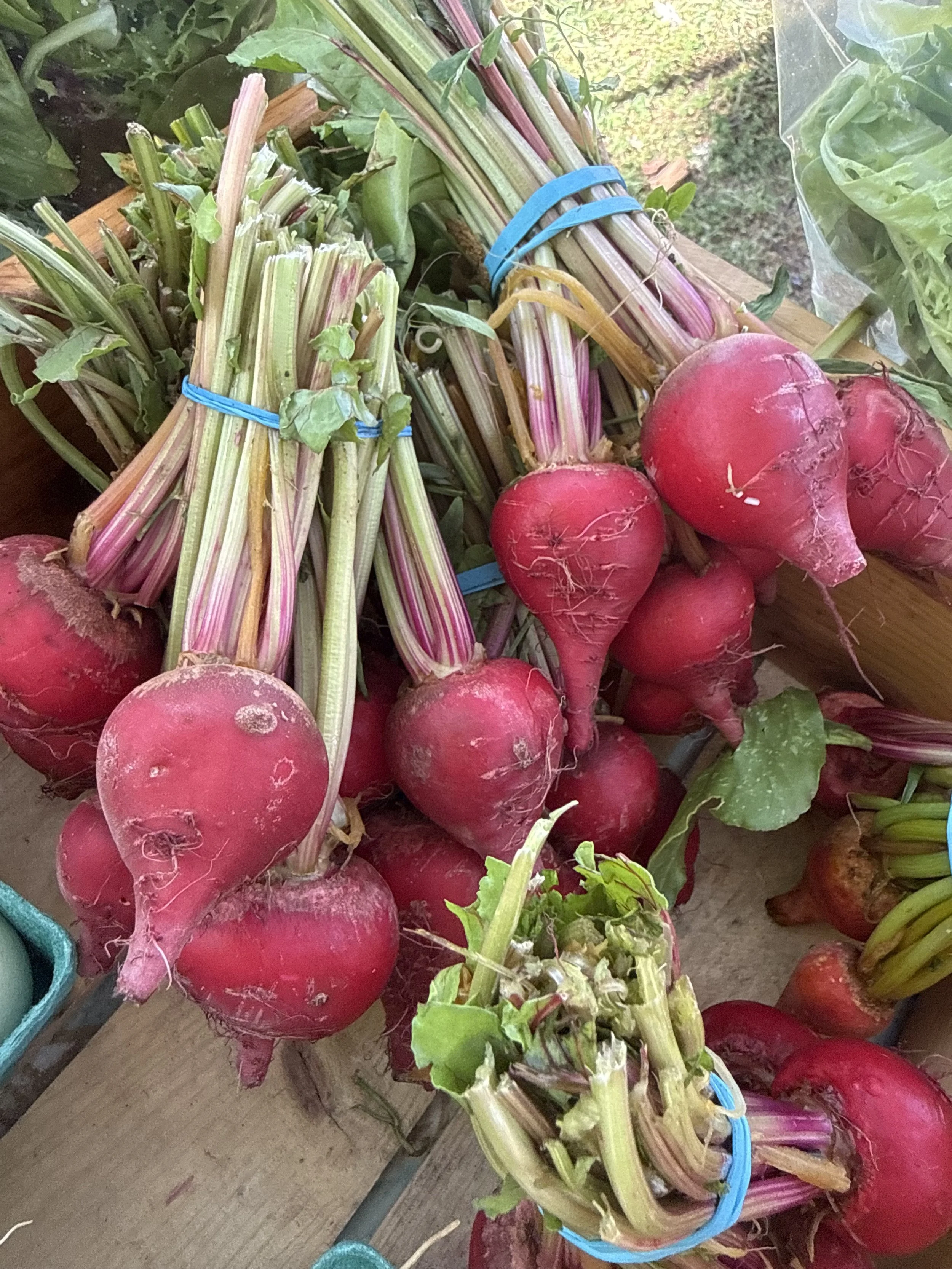 Beets