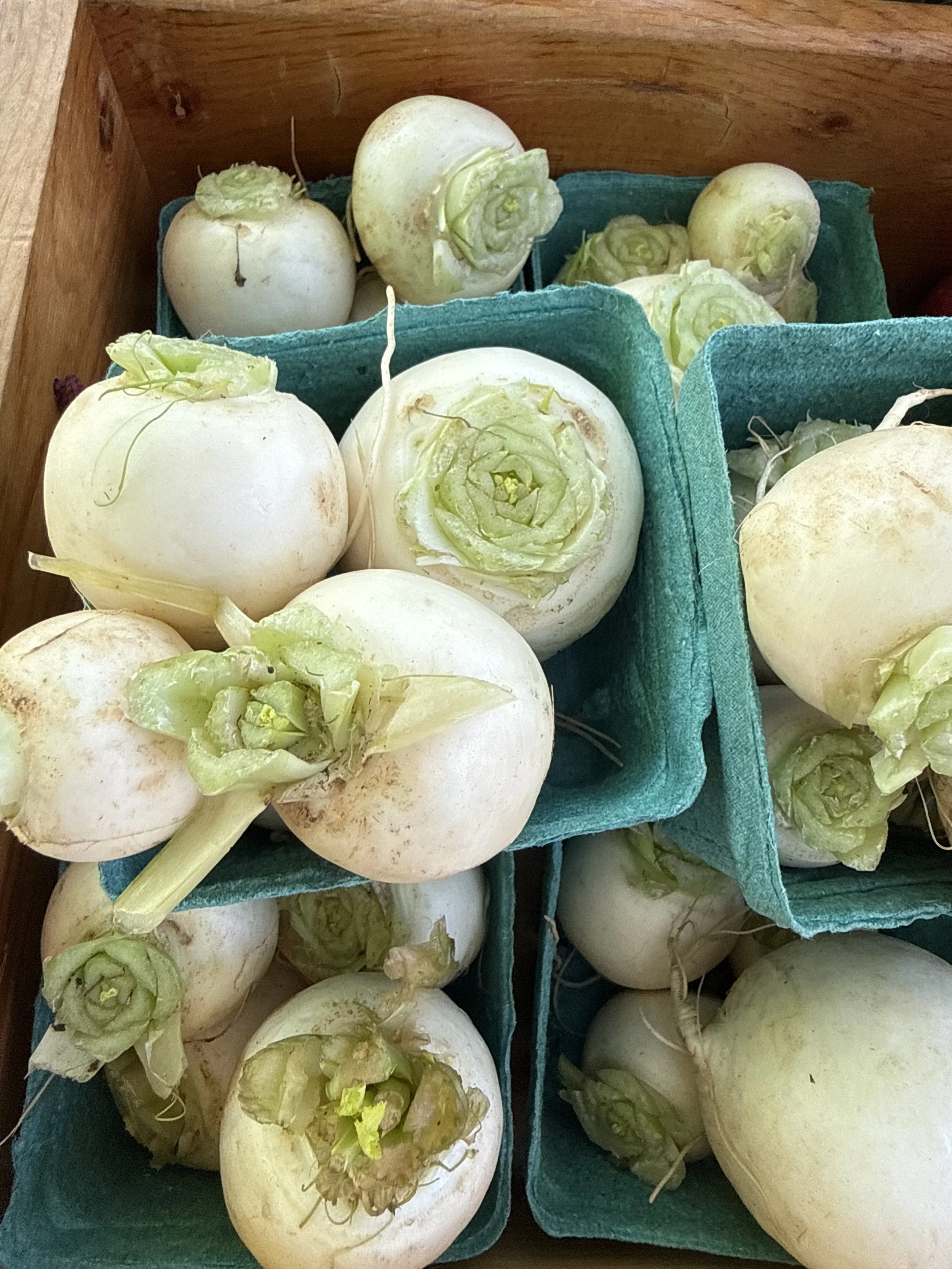 Hakurei Turnips