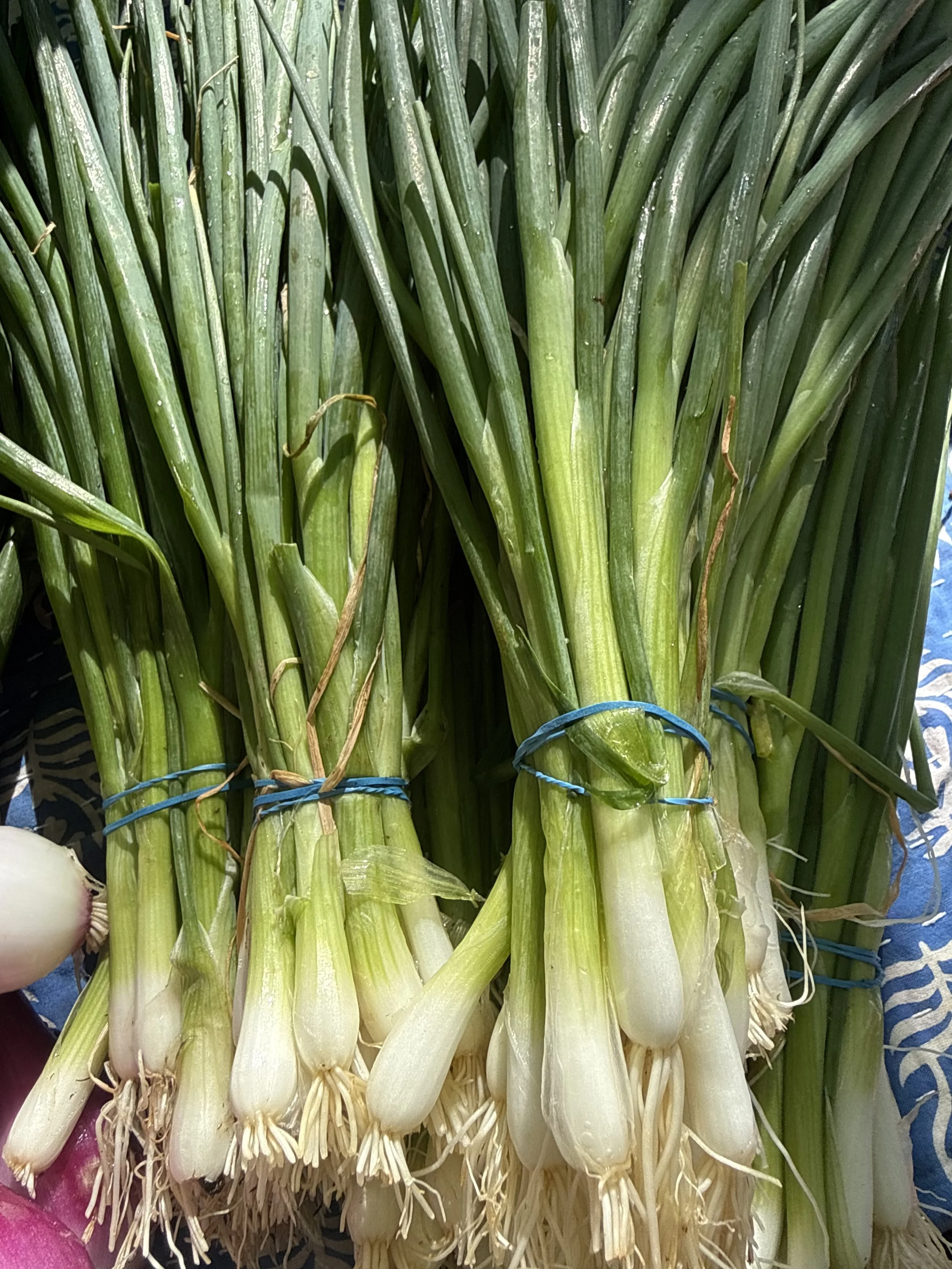 Green Onion