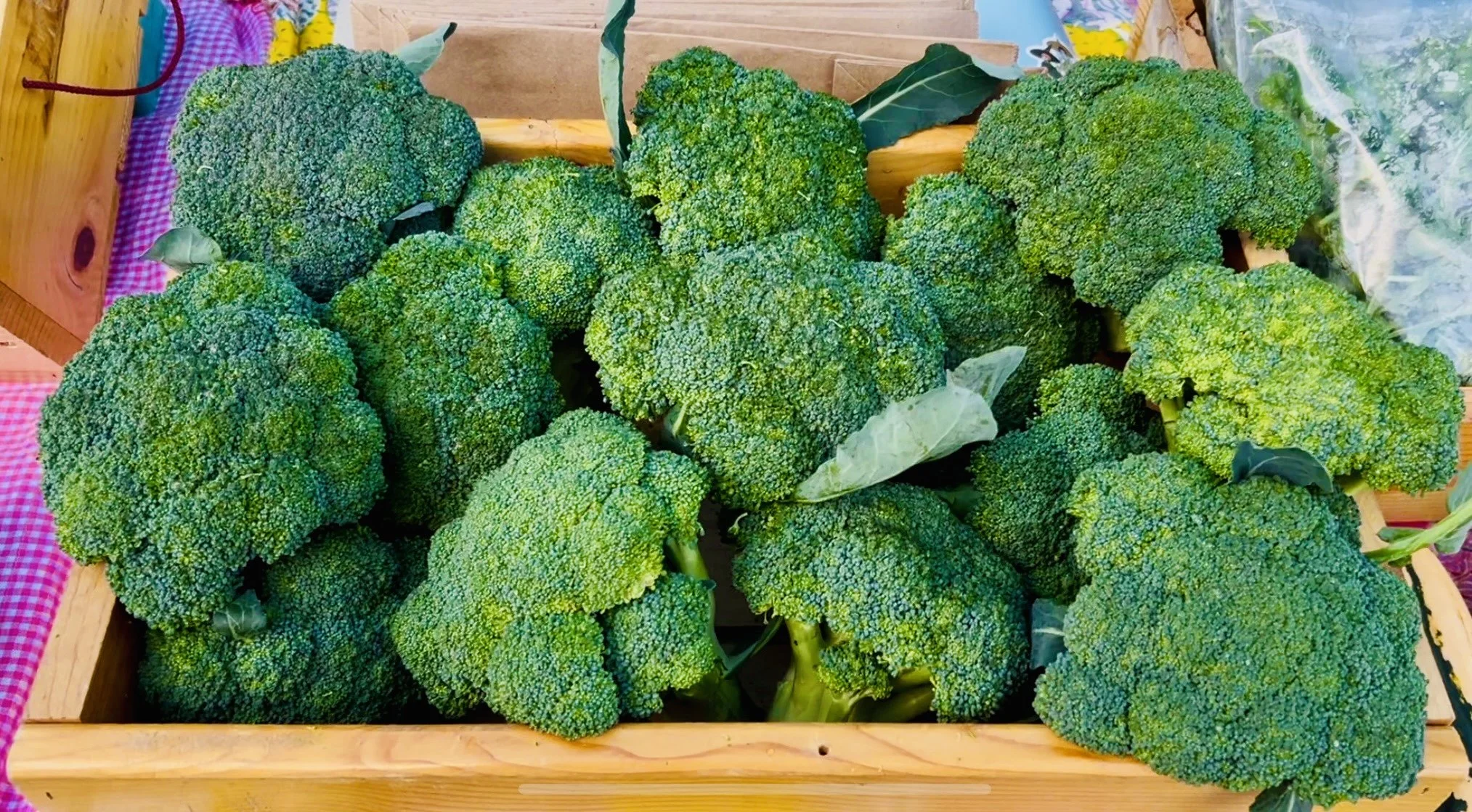 Broccoli