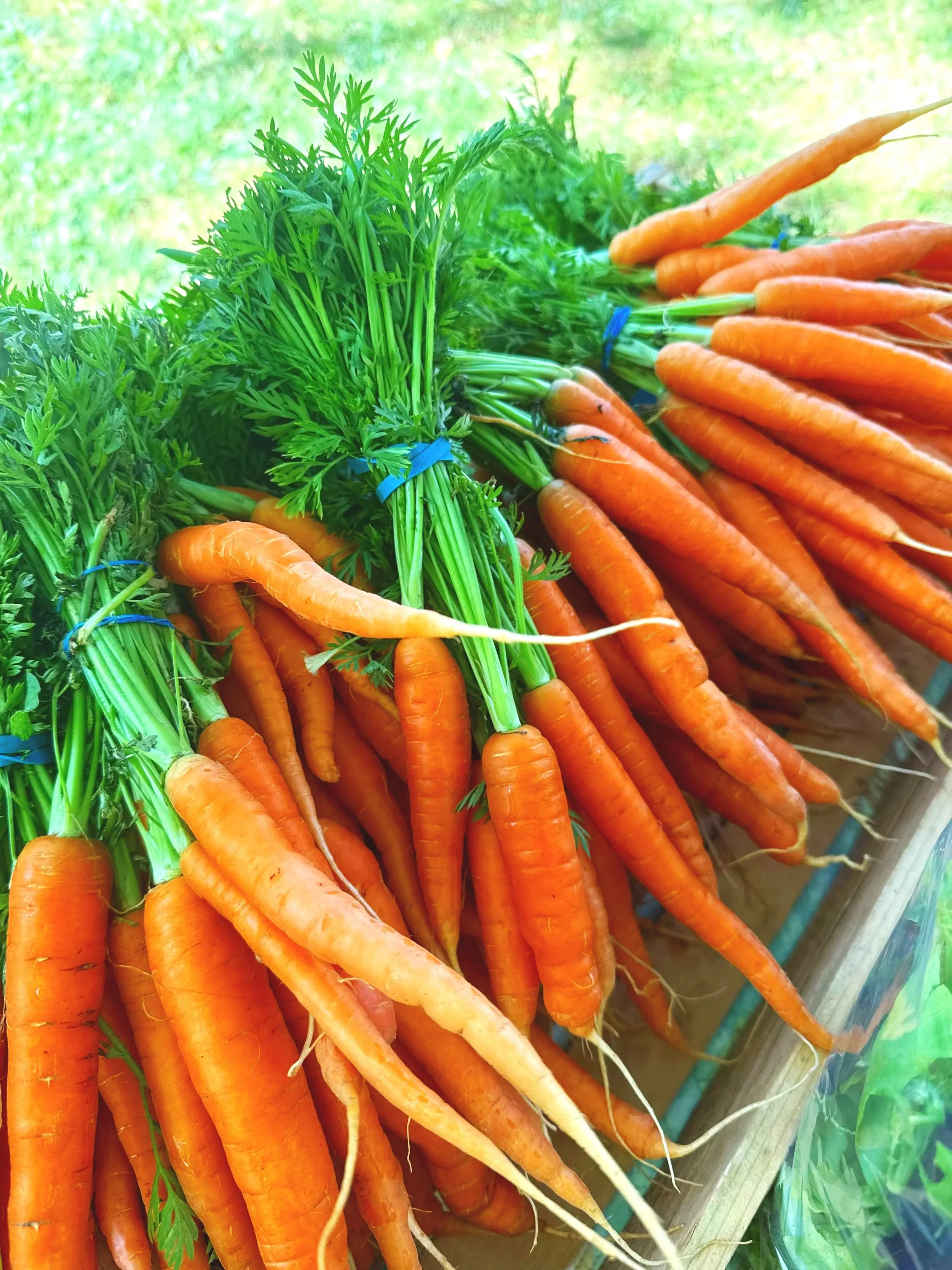Carrots