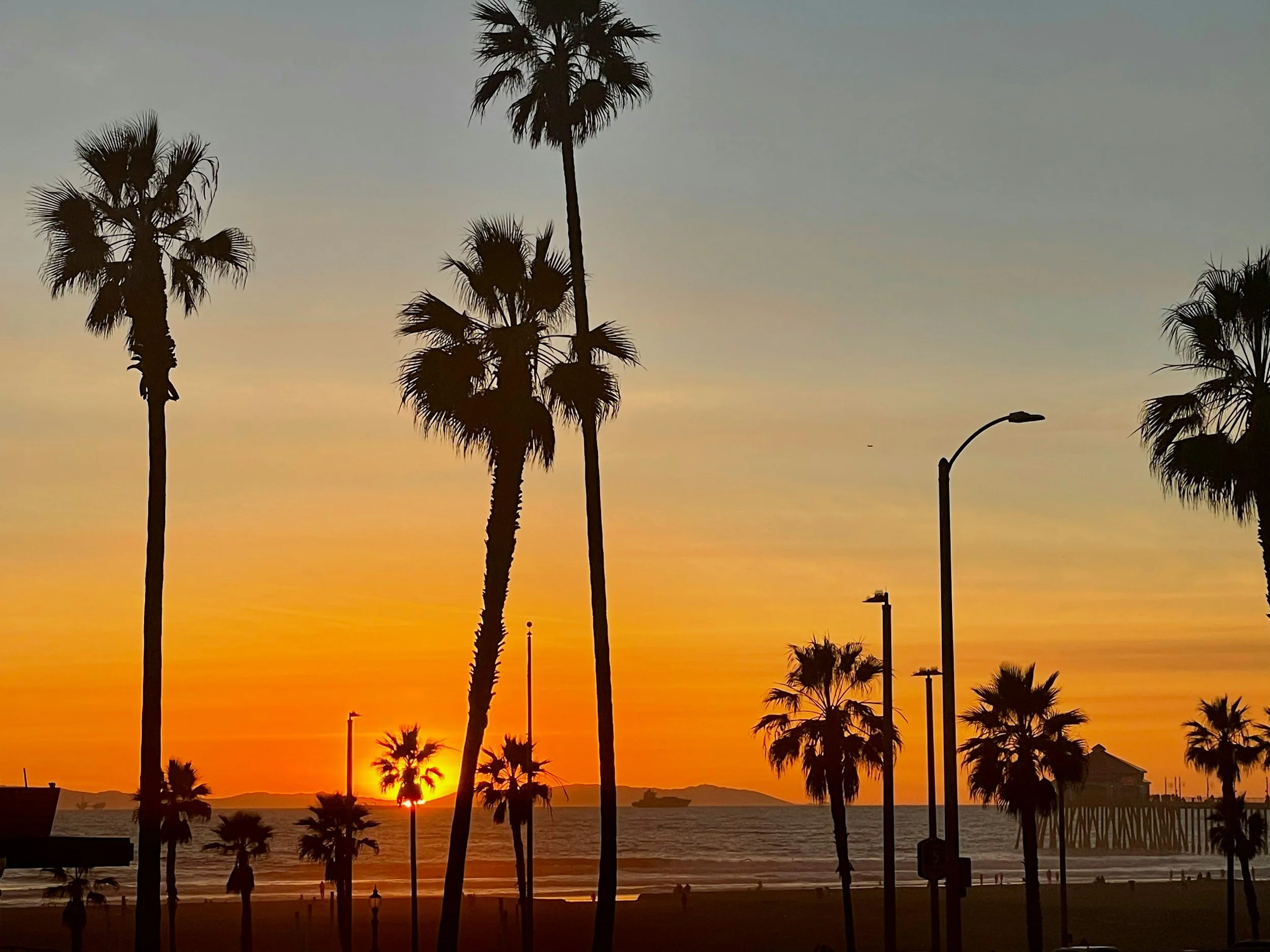 Sunset over the ocean with silhouettes of tall palm trees, street lamps, and a boat in the water.