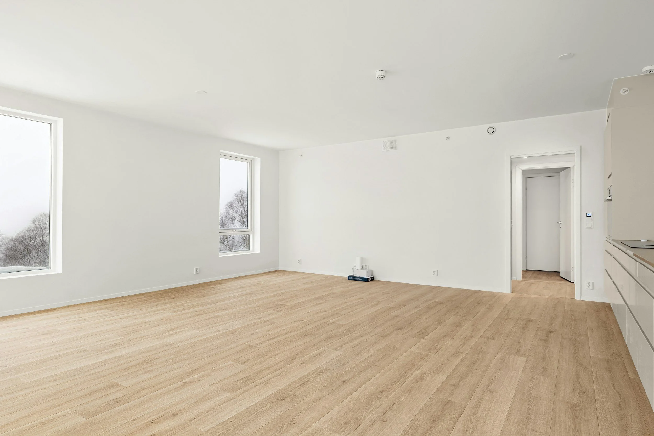 Empty living room with large windows, white walls, and light wood flooring.