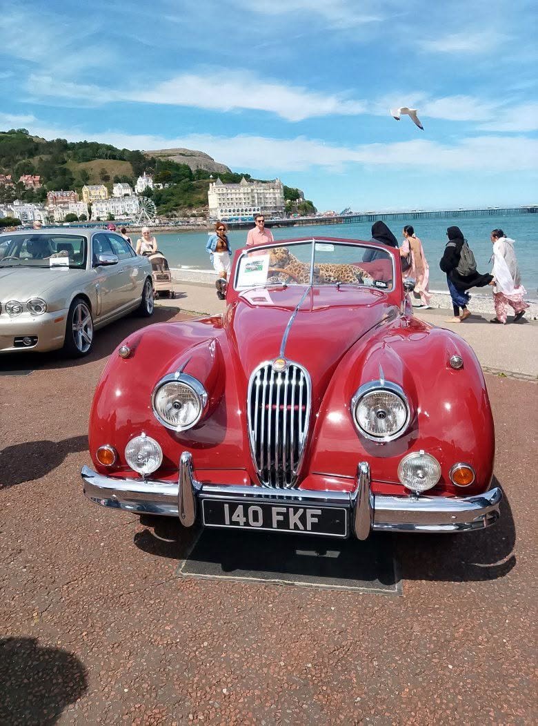 Another fantastic Llandudno trip 